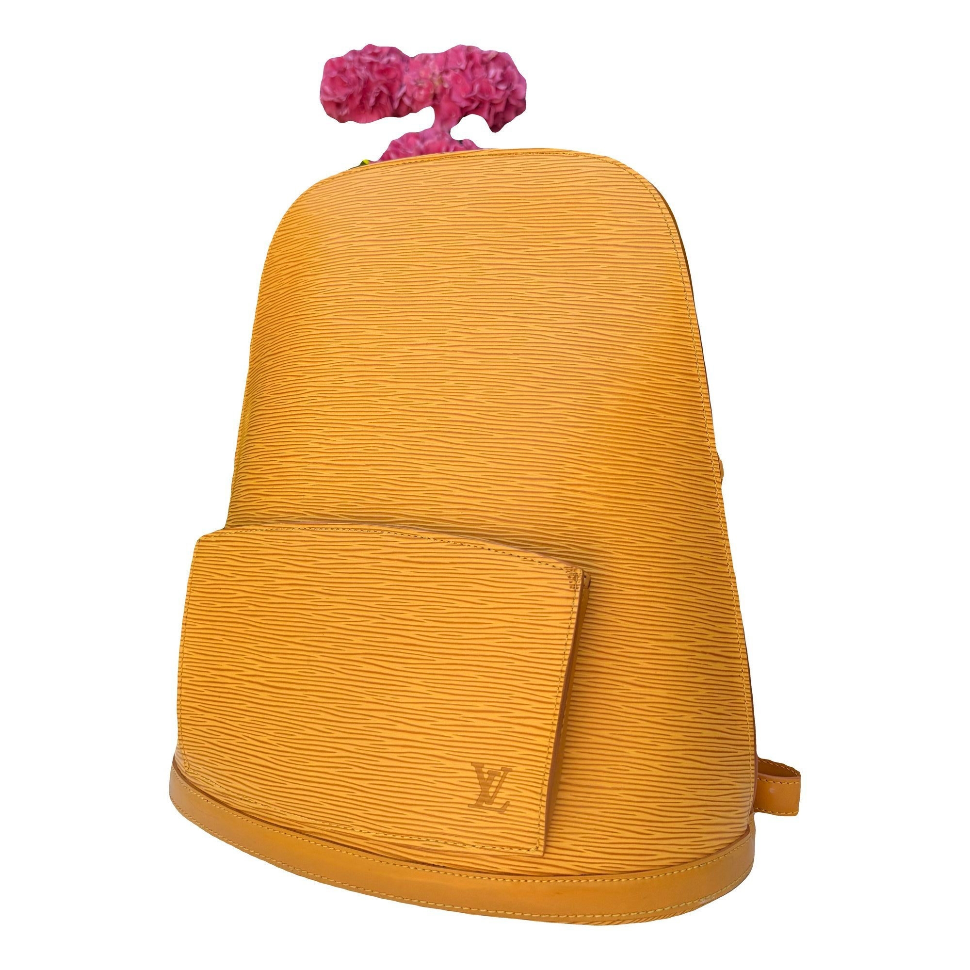 Gobelins Vintage leather backpack