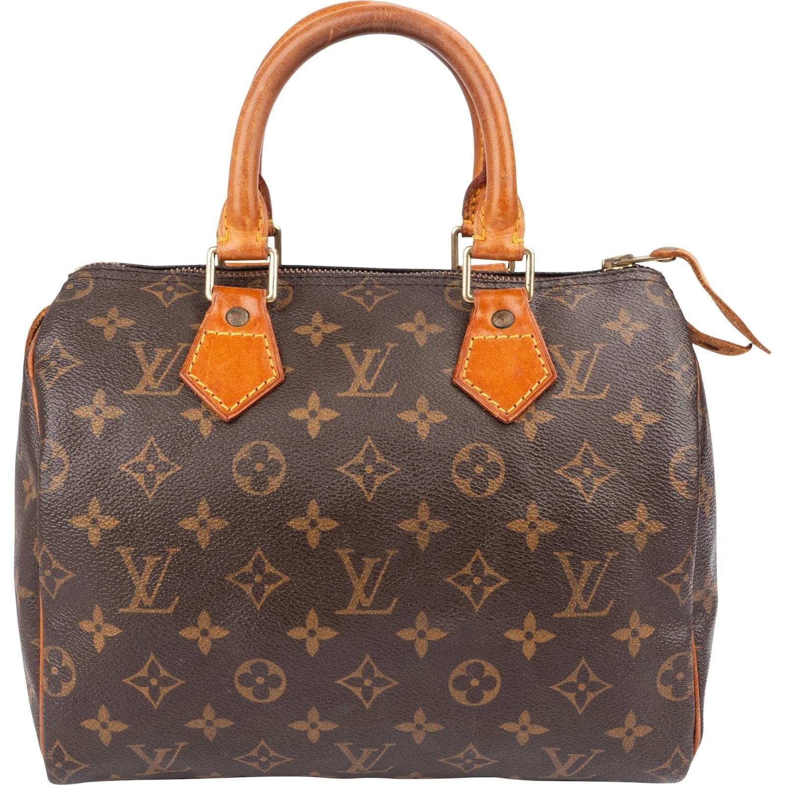 Speedy leather handbag