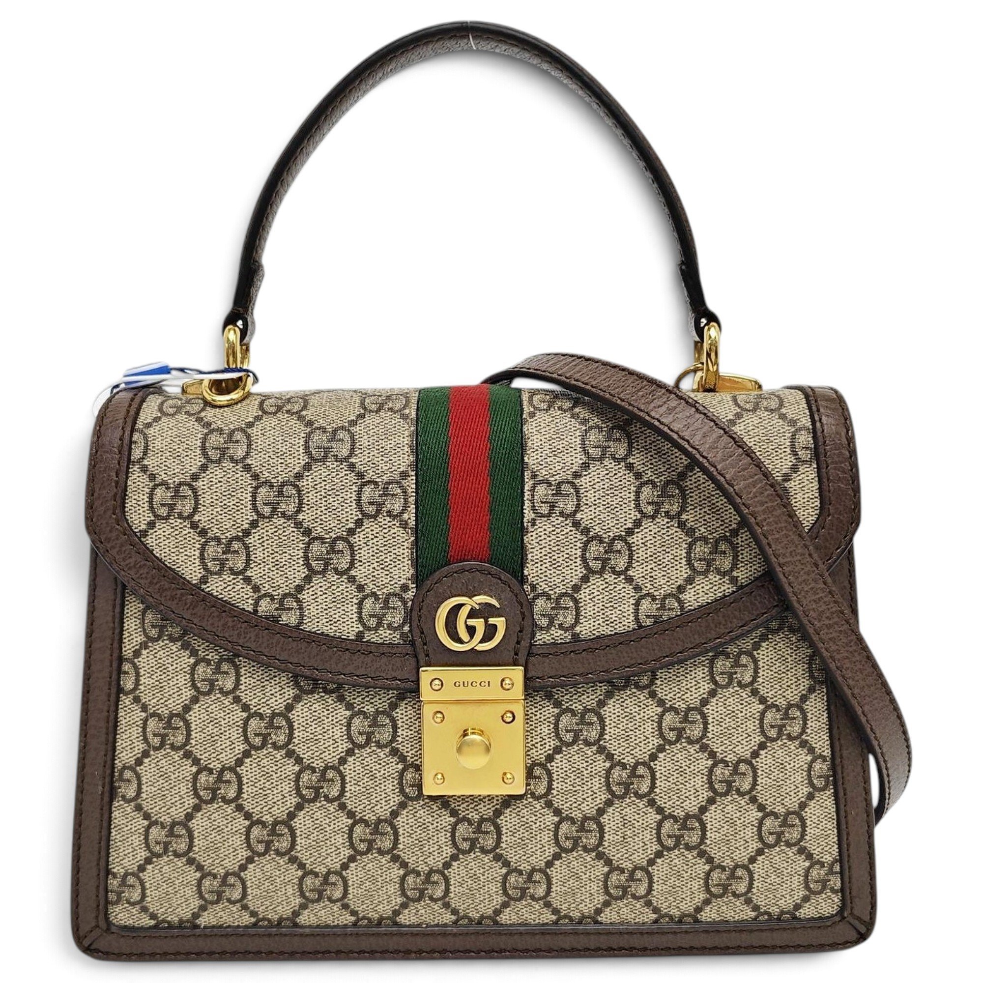 Ophidia Flap Top Handle leather handbag