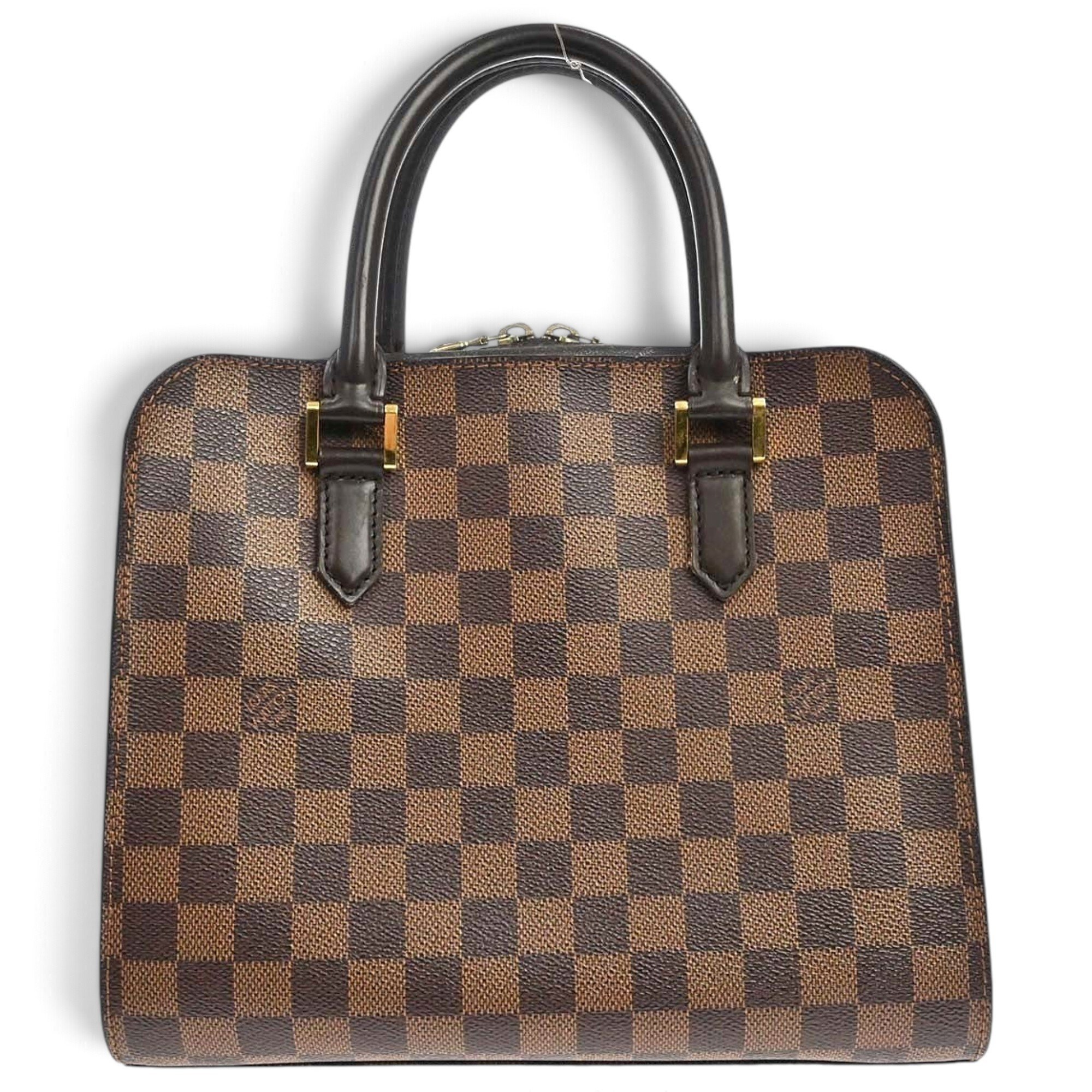 Triana cloth handbag
