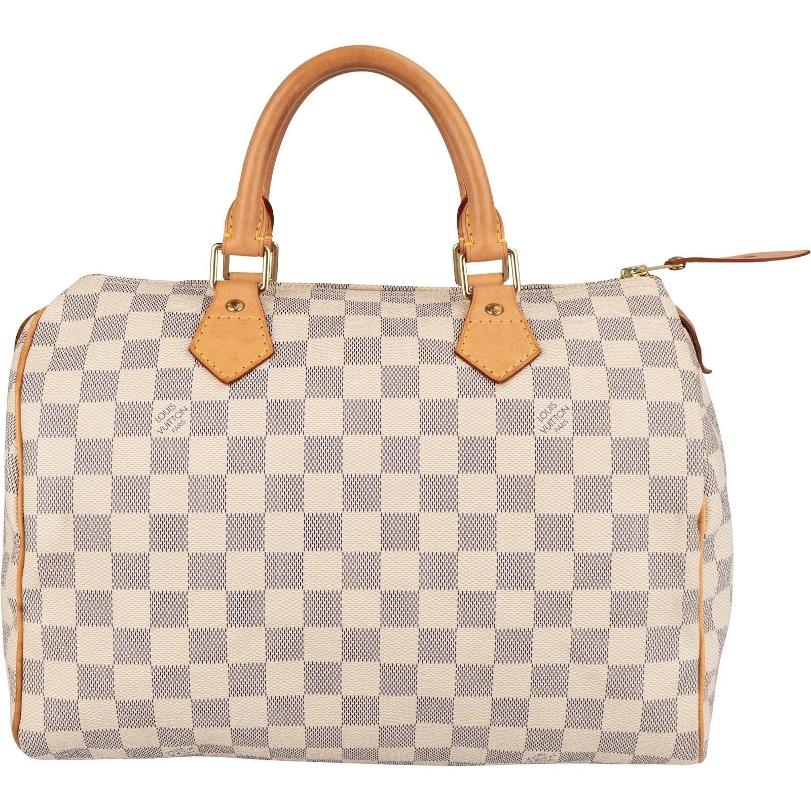 Louis Vuitton Speedy leather handbag