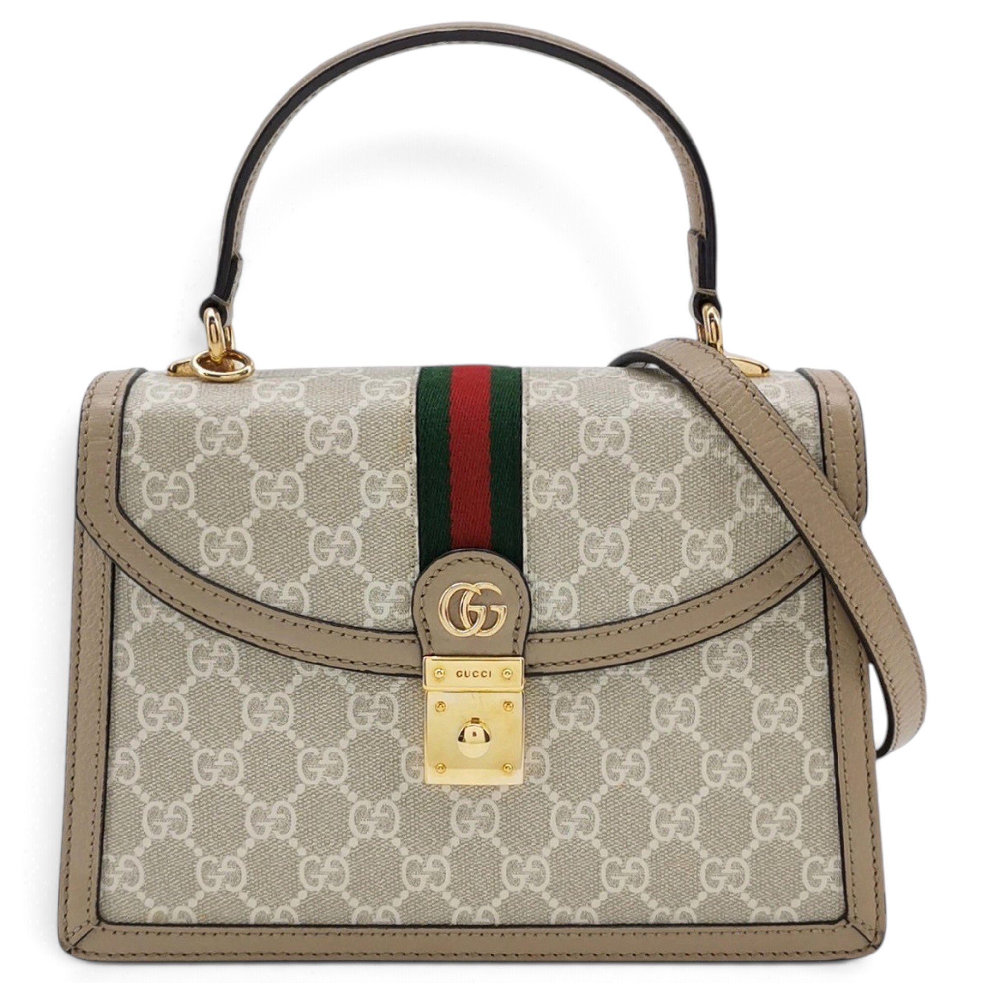 Ophidia Flap Top Handle leather handbag