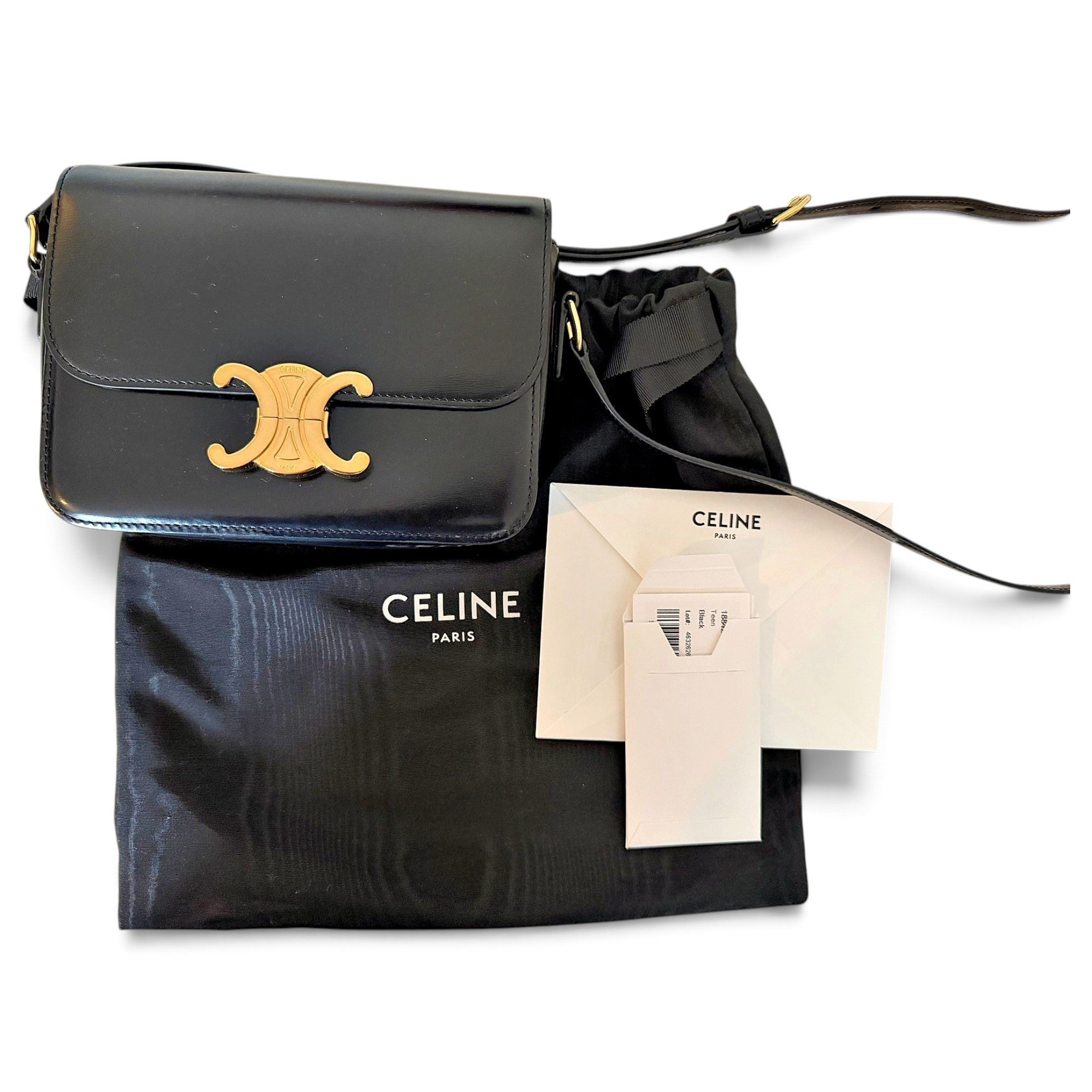 Triomphe leather handbag