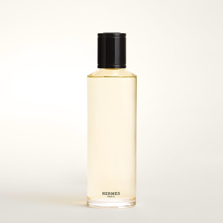 Terre D'hermès Eau De Parfum Intense Refill