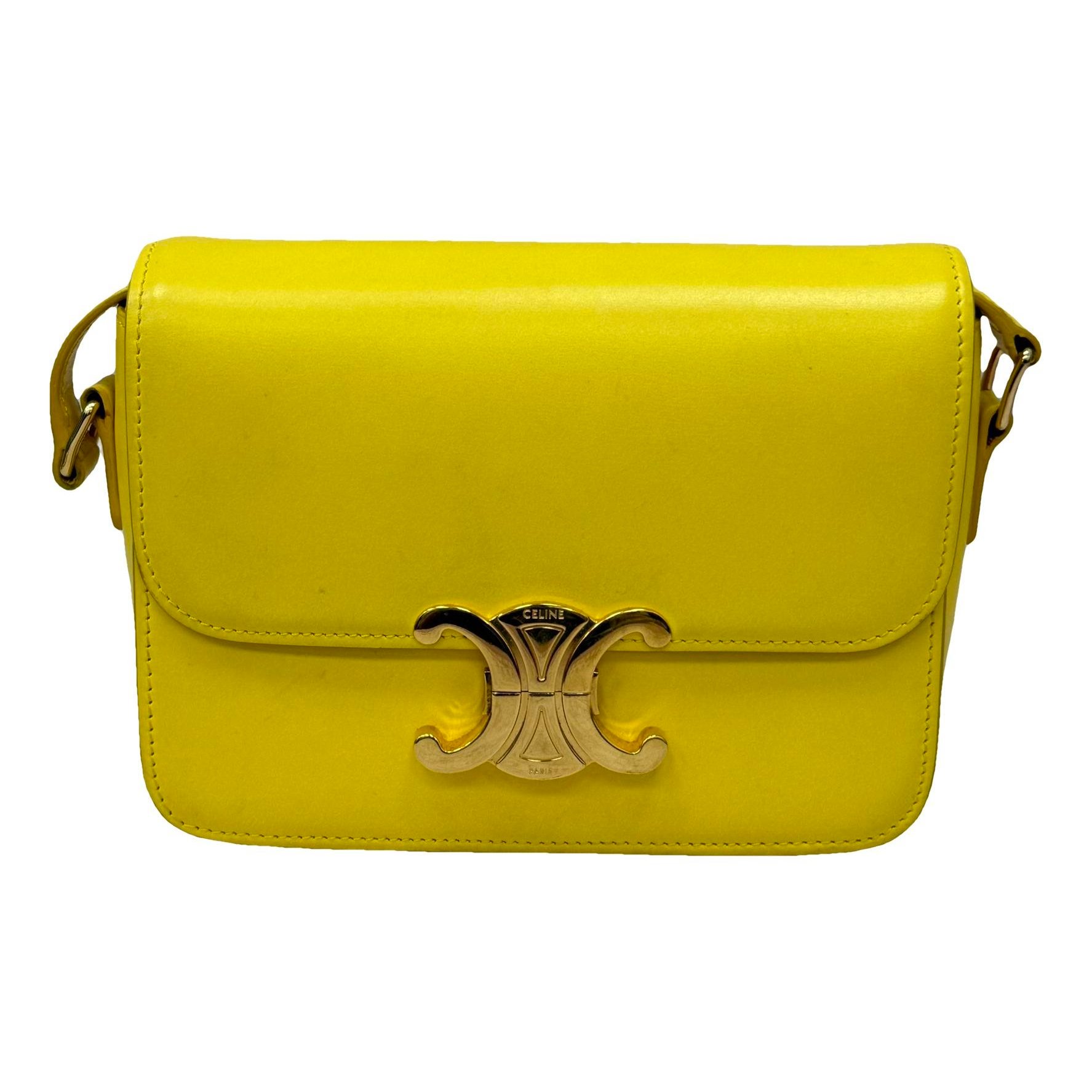 Triomphe leather handbag