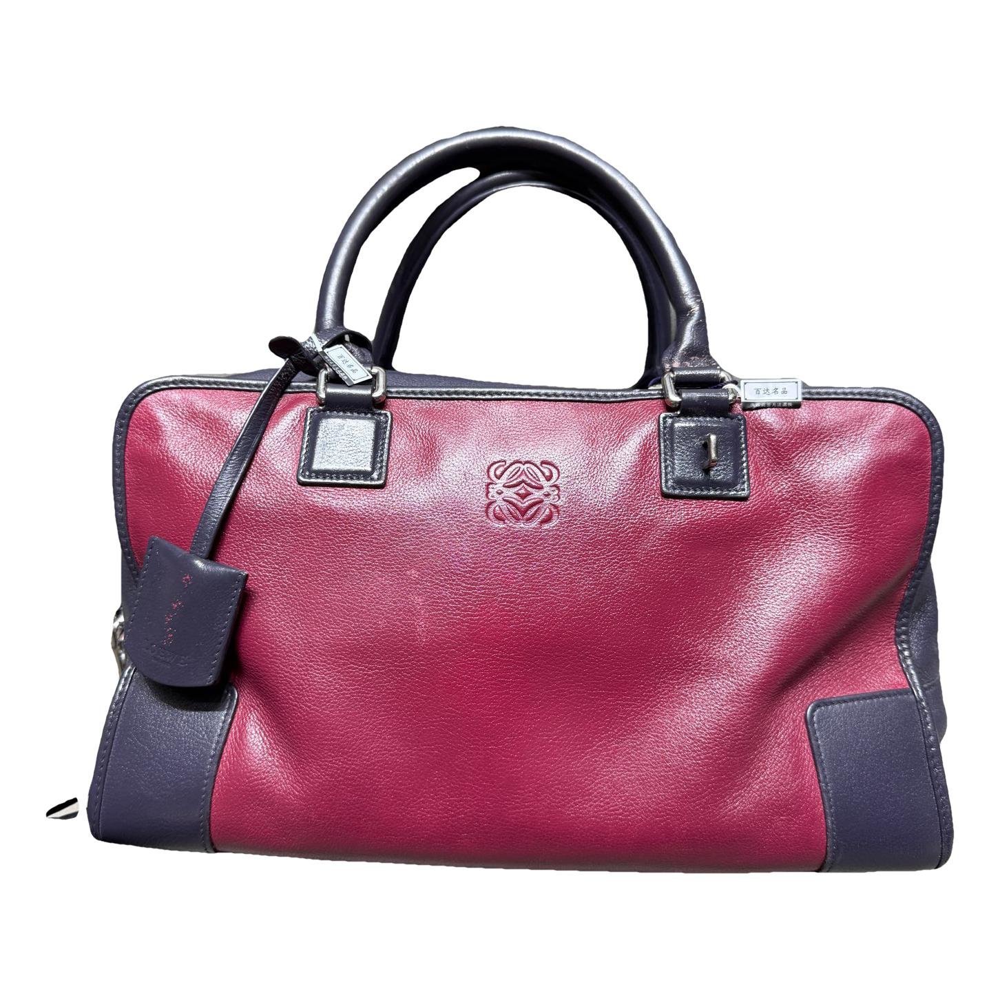 Amazona leather handbag