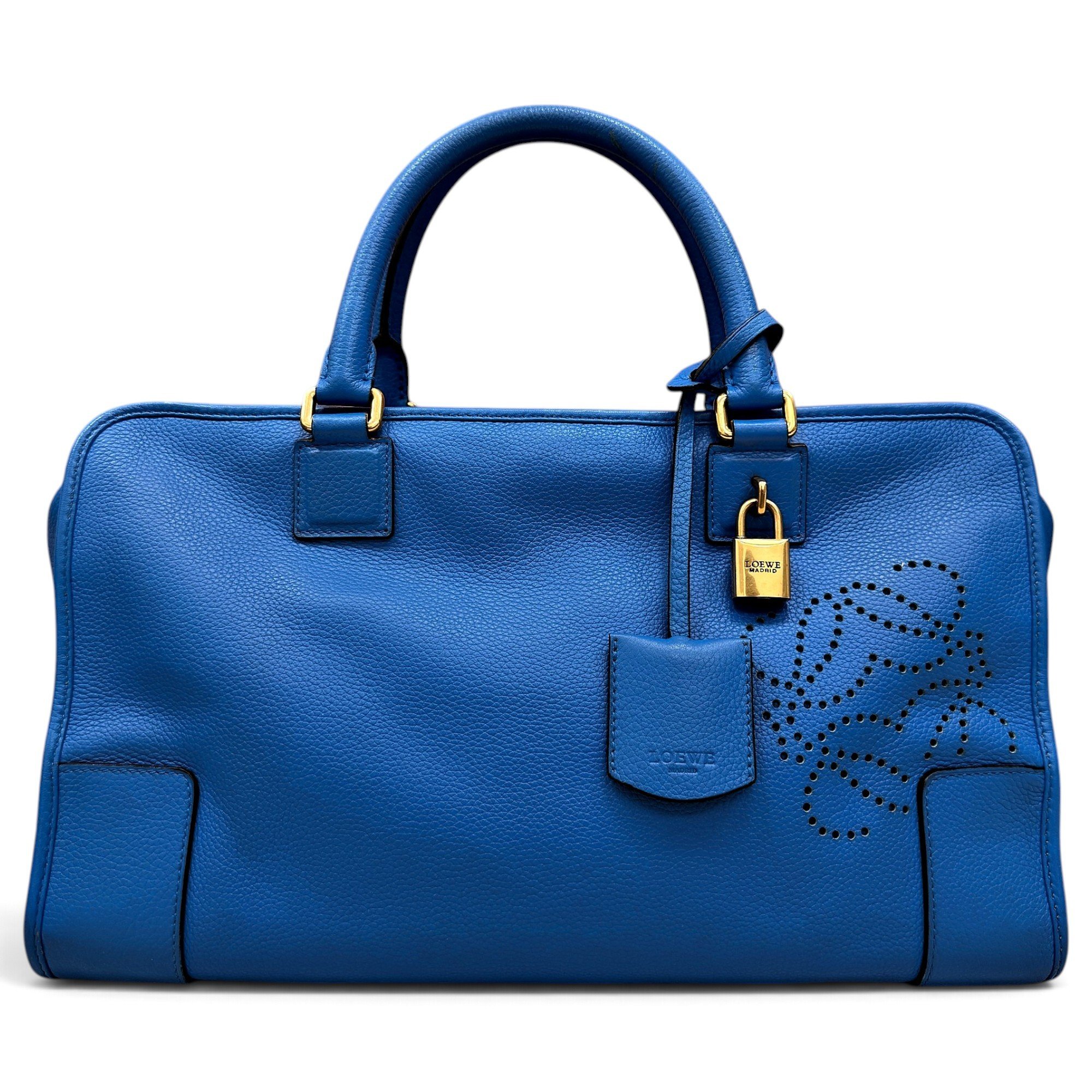 Amazona leather handbag