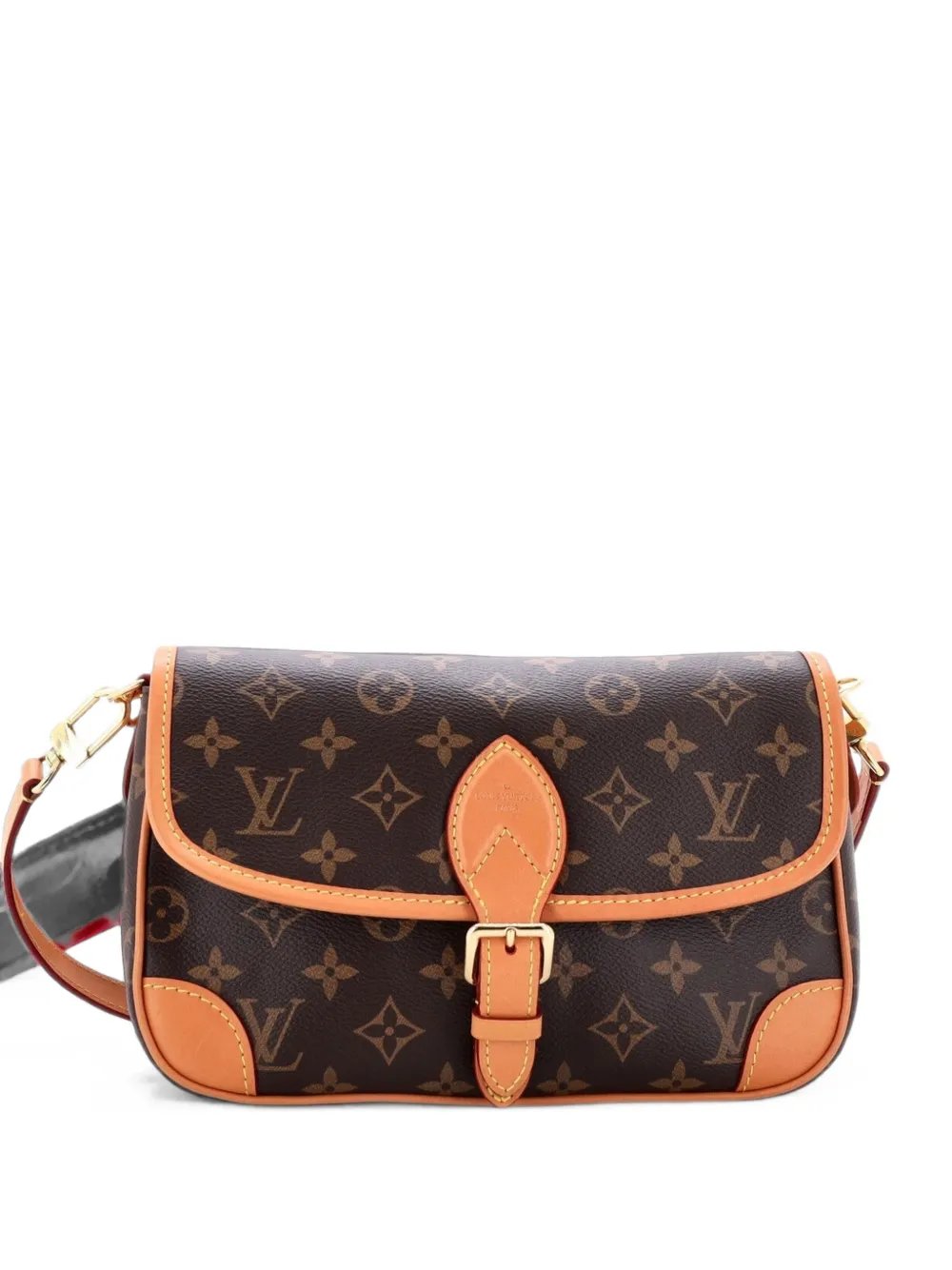 Louis Vuitton Diane NM Handbag Monogram Canvas crossbody bag