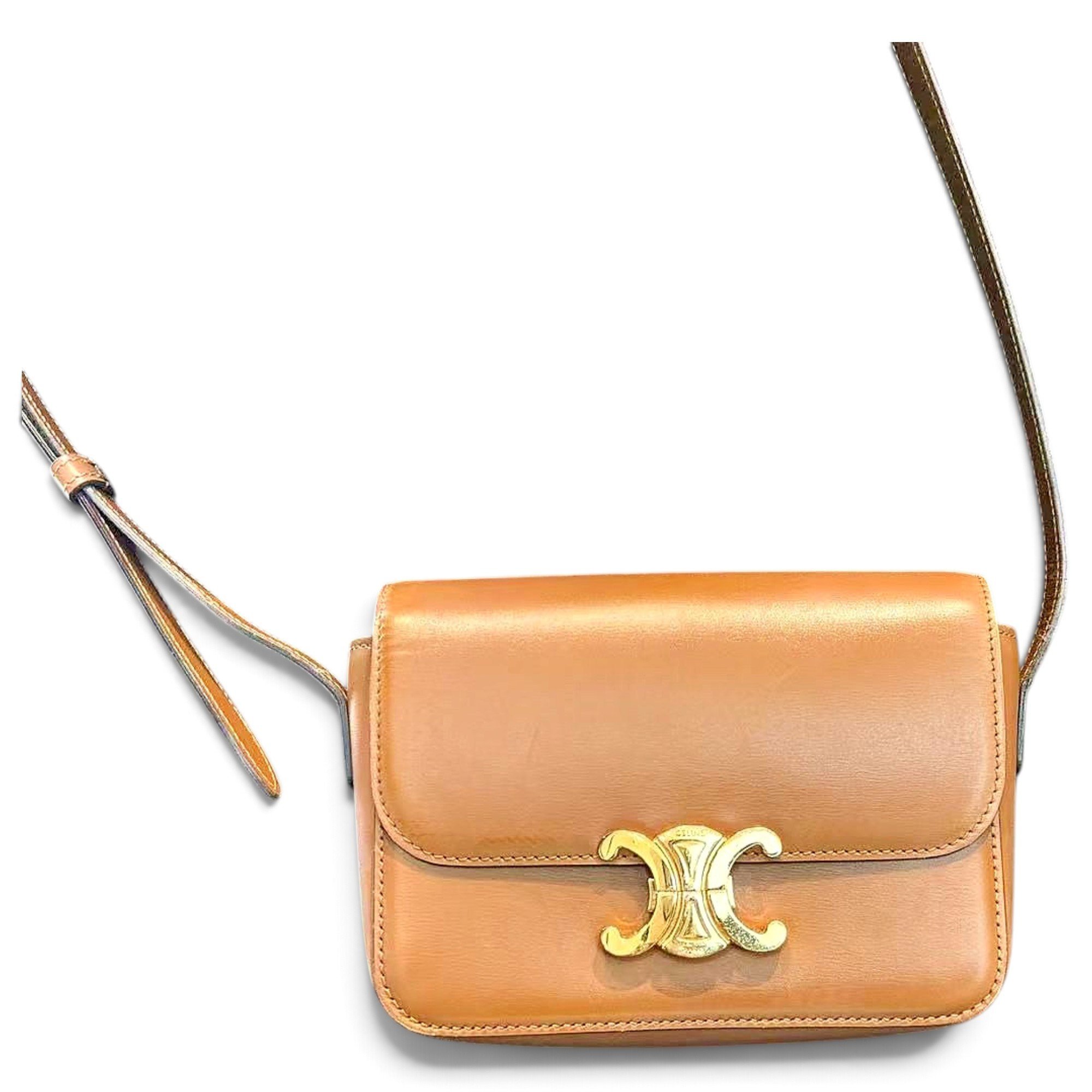 Triomphe leather handbag