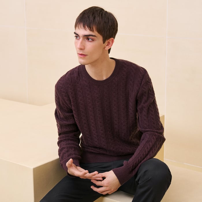 Cashmere "Torsades et H Fantome" crewneck sweater