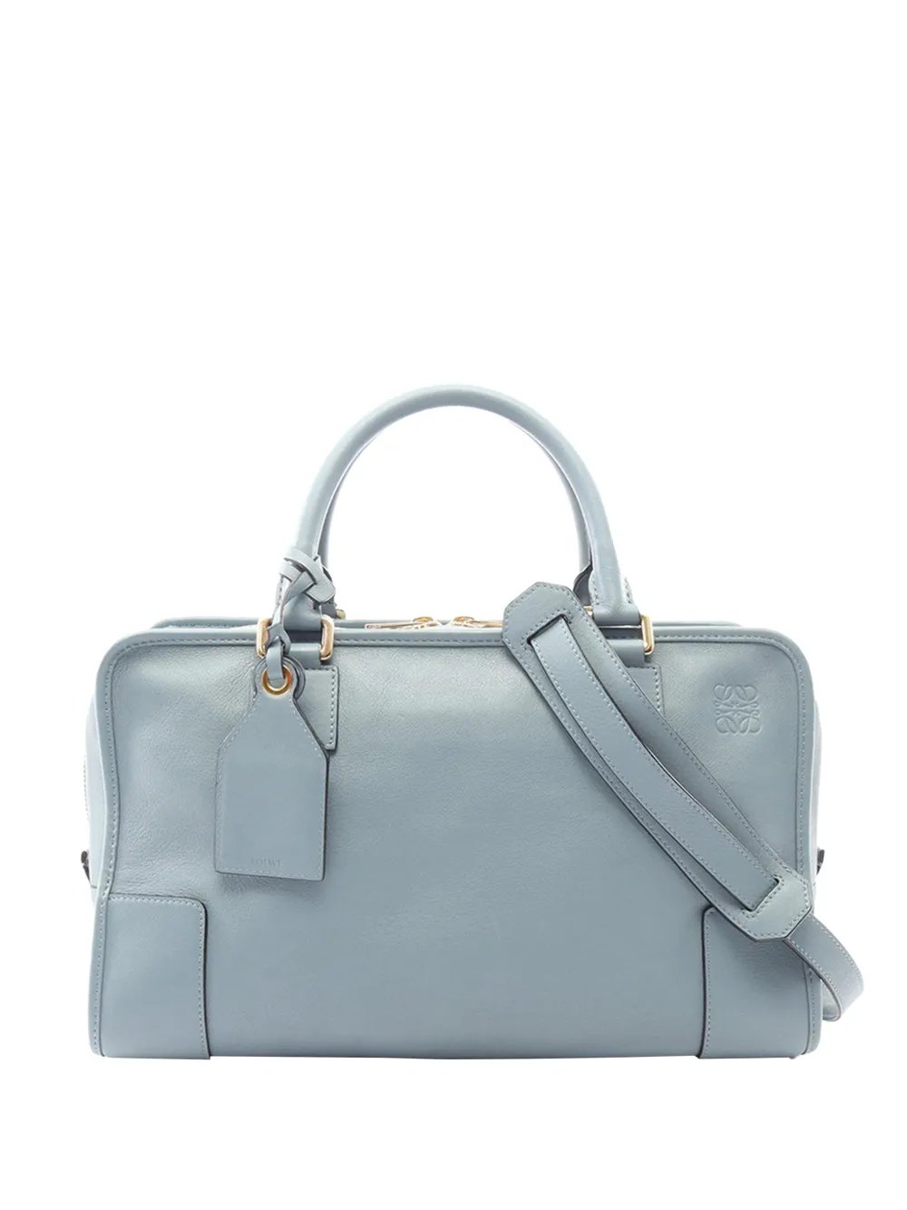 2010-2026 Leather Amazona 36 satchel