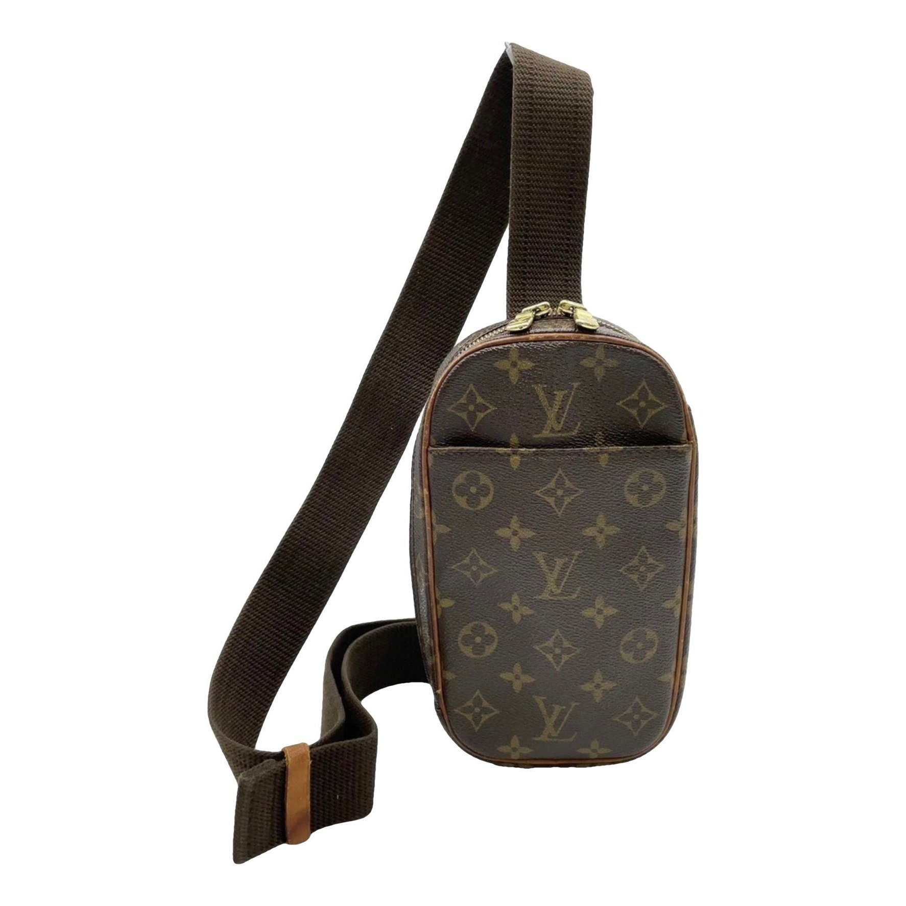 Louis Vuitton Leather bag