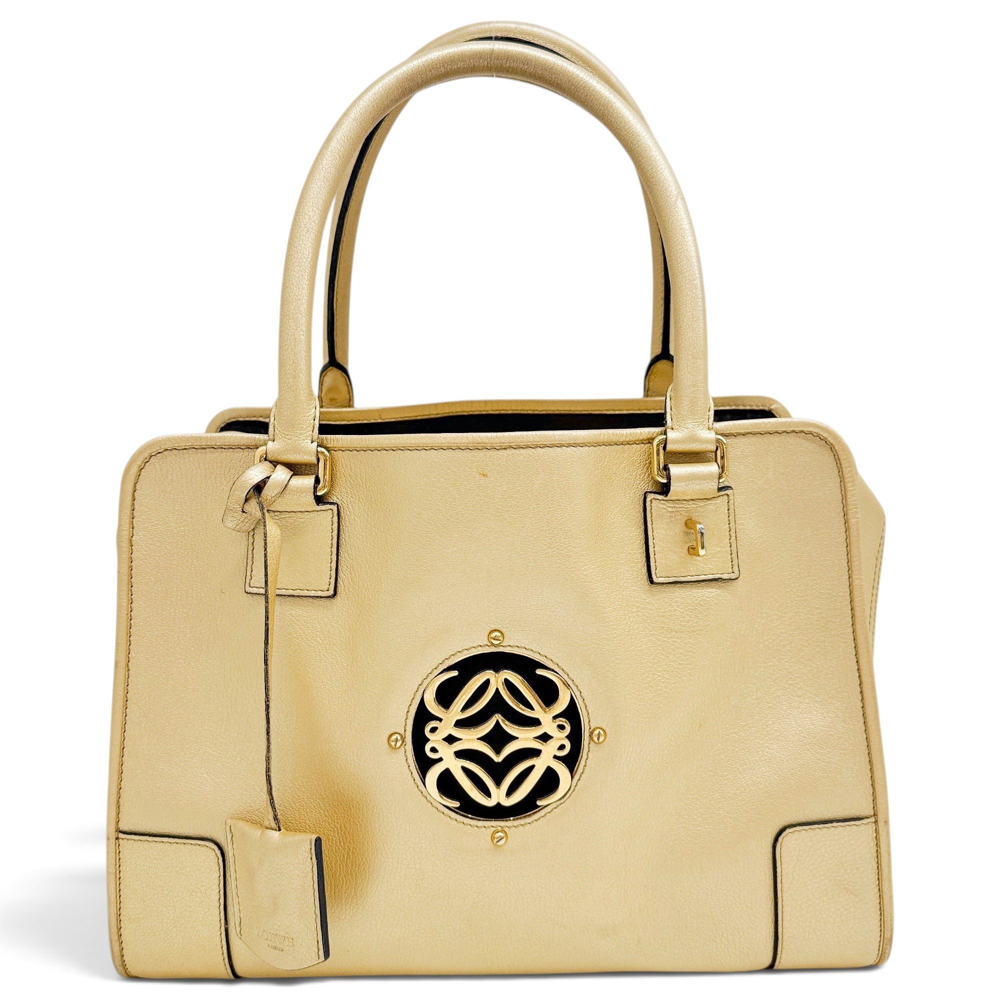 Amazona leather handbag