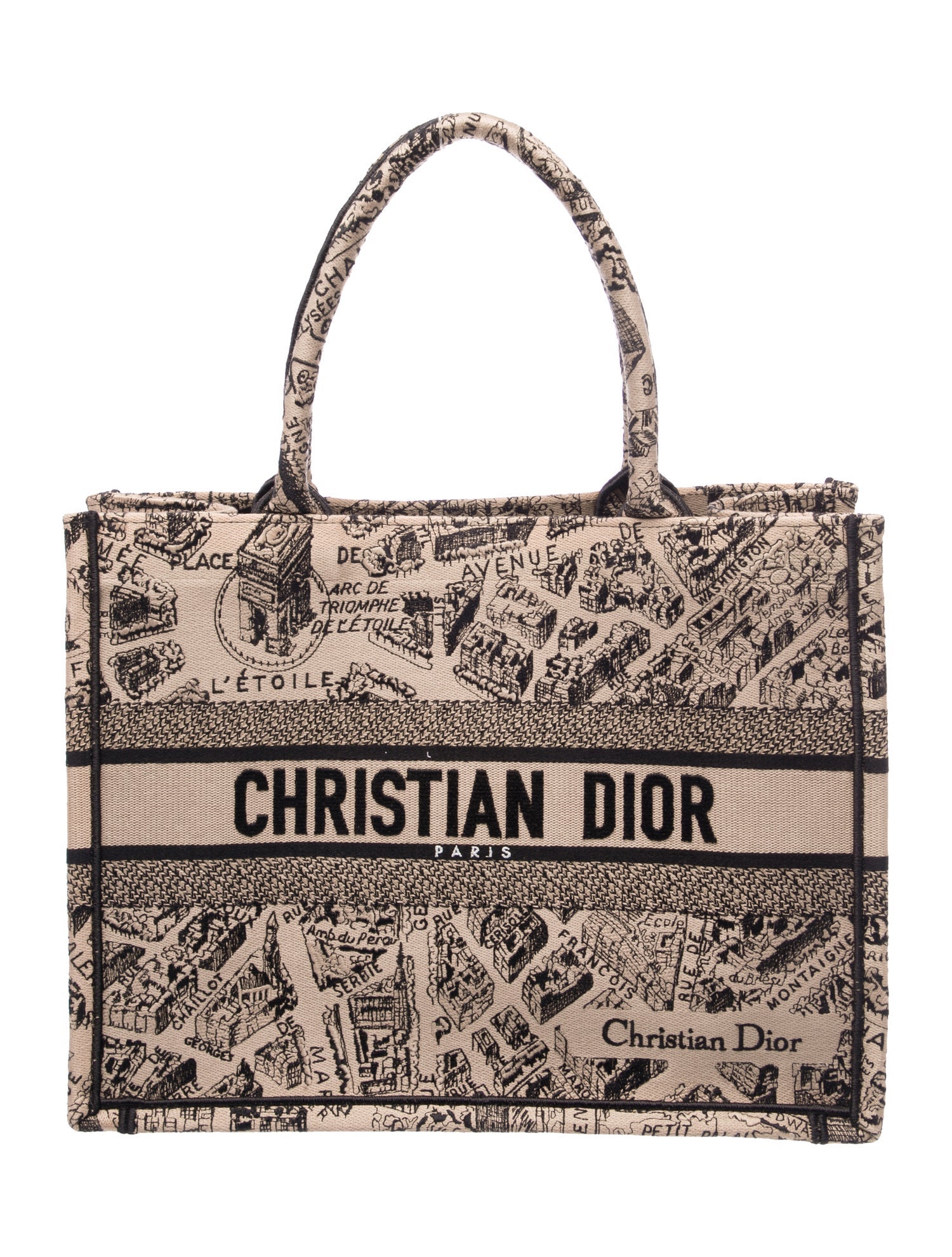 Dior Canvas Book Medium 2023