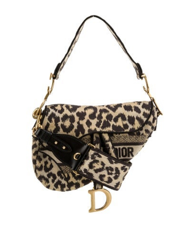 Dior Dior Canvas Celine Saddle