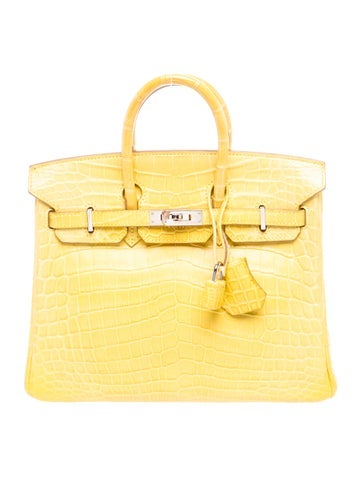Matte Niloticus Crocodile Birkin 25