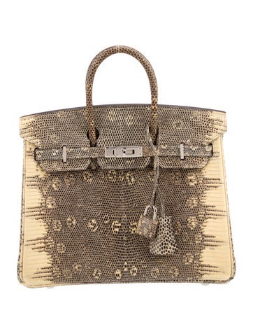 Hermes Ombre Varanus Salvator Lizard Birkin 25