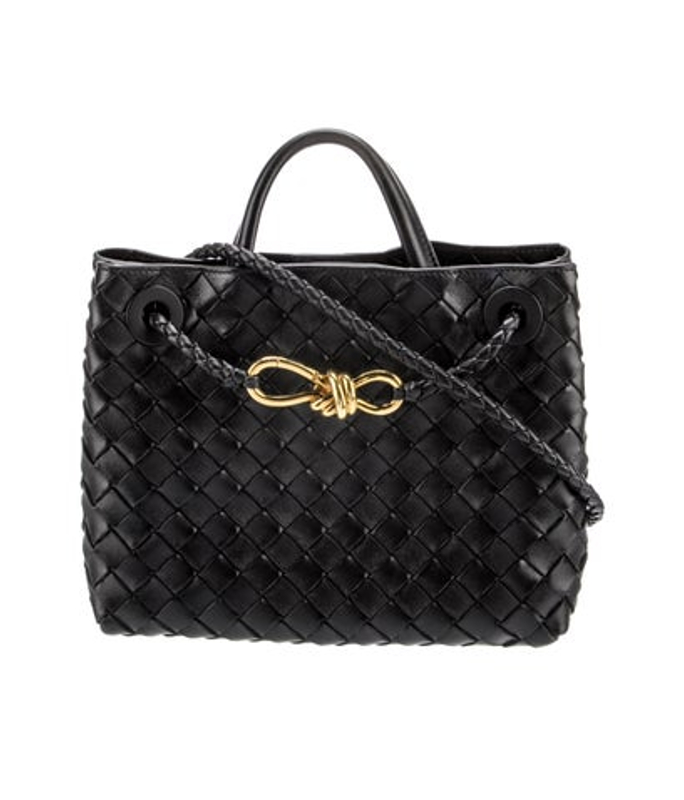 Bottega Veneta Veneta Intrecciato Andiamo Small