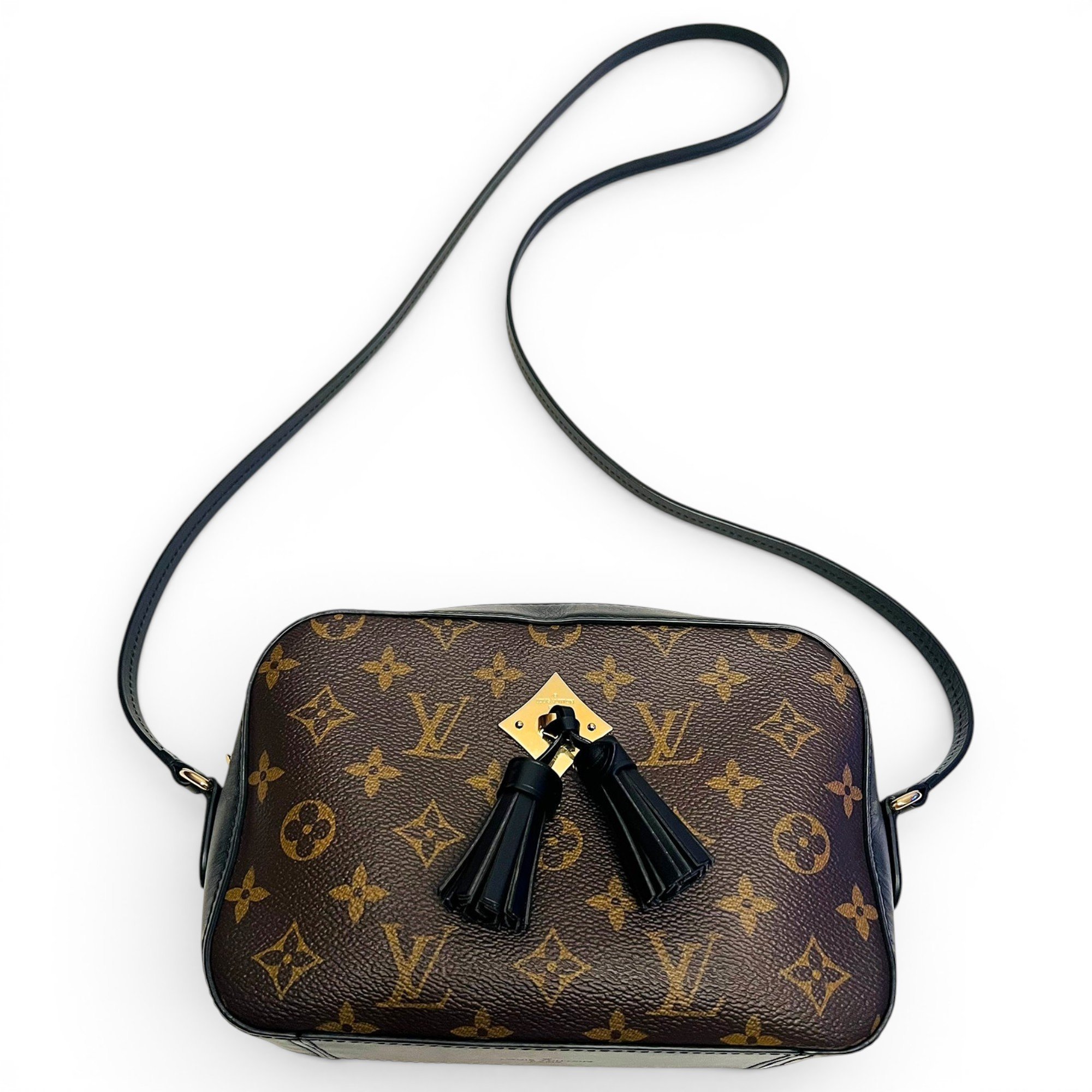 Saintonge leather crossbody bag