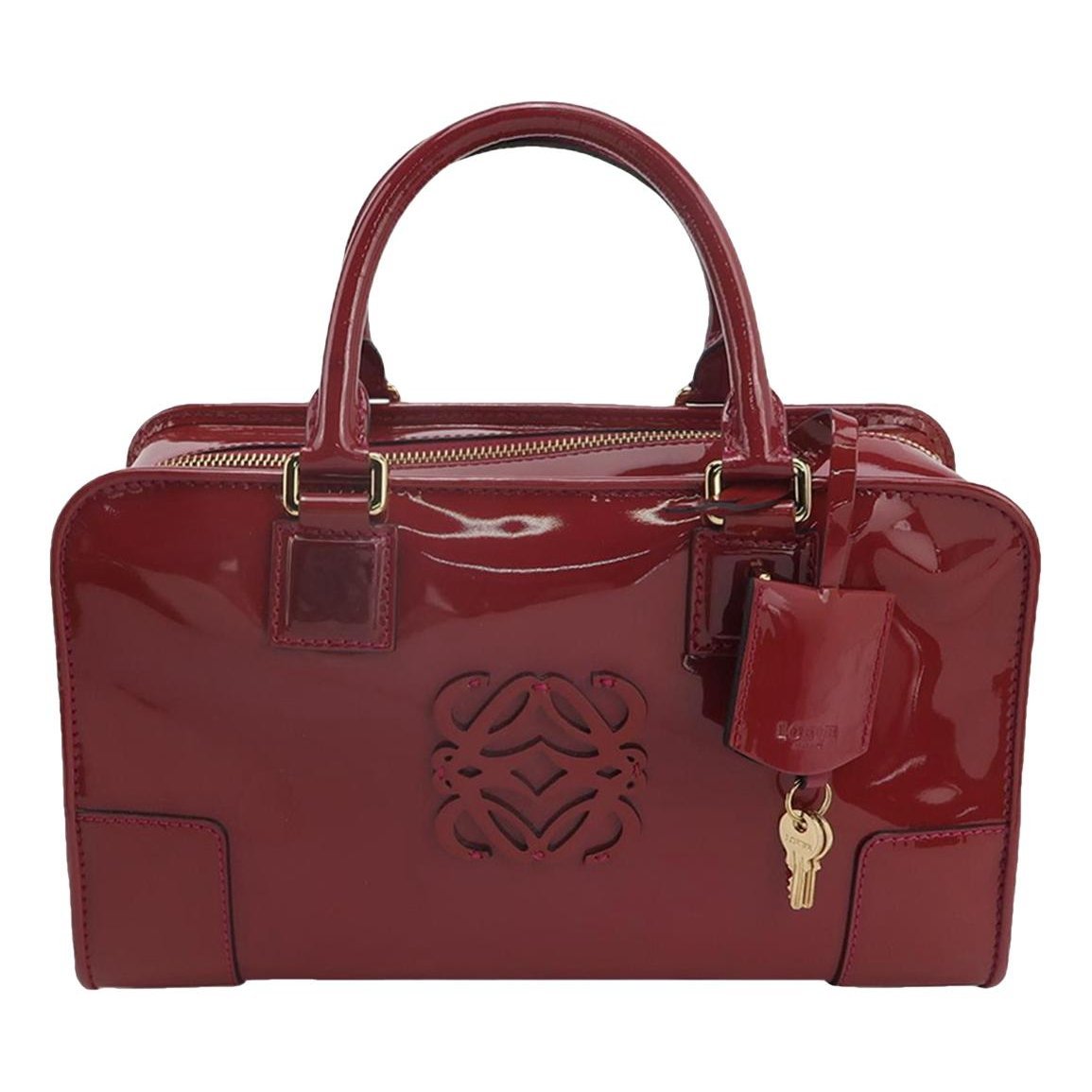 Amazona patent leather handbag