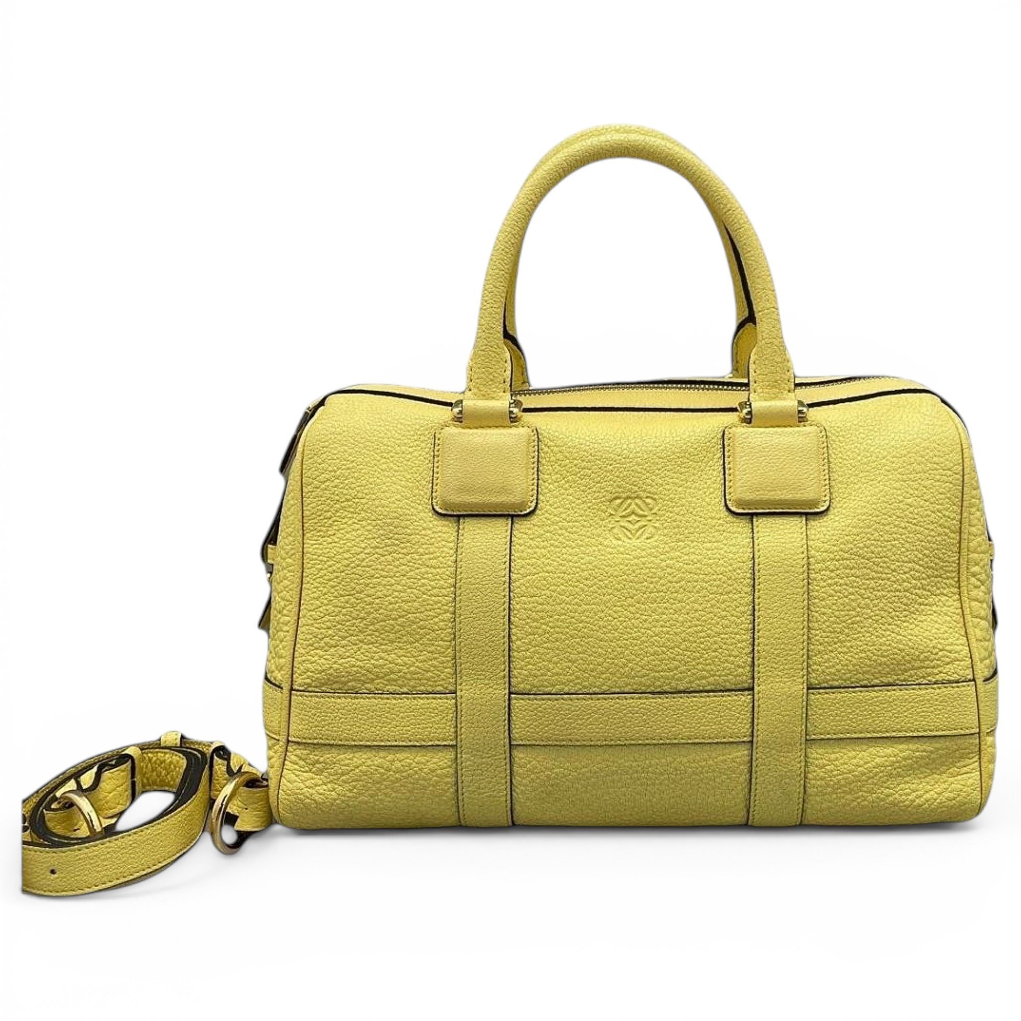 Amazona leather handbag