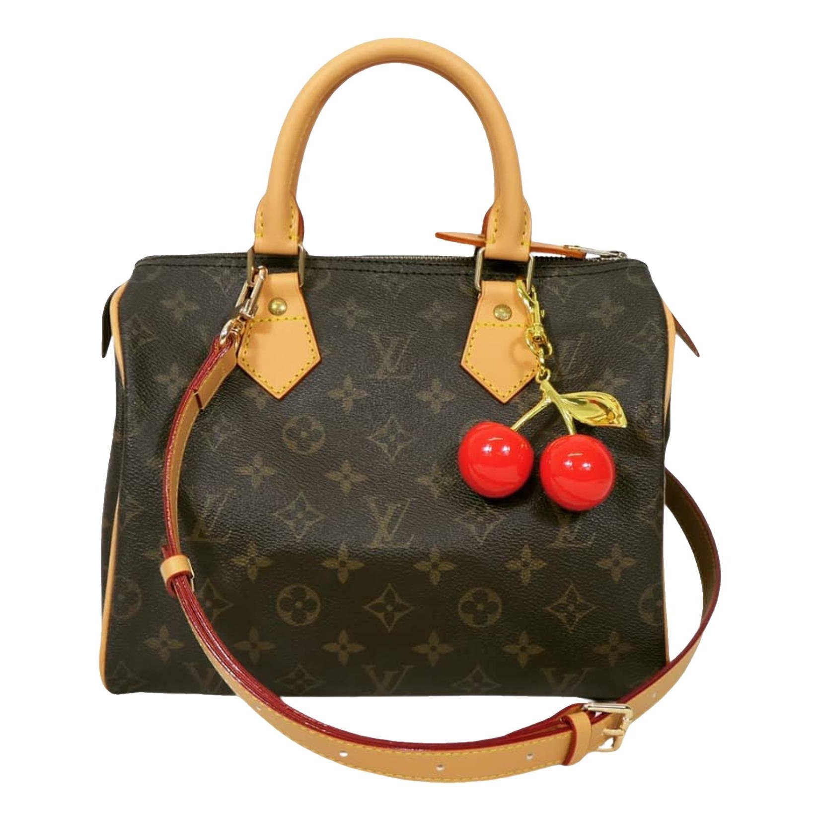 Speedy cloth handbag