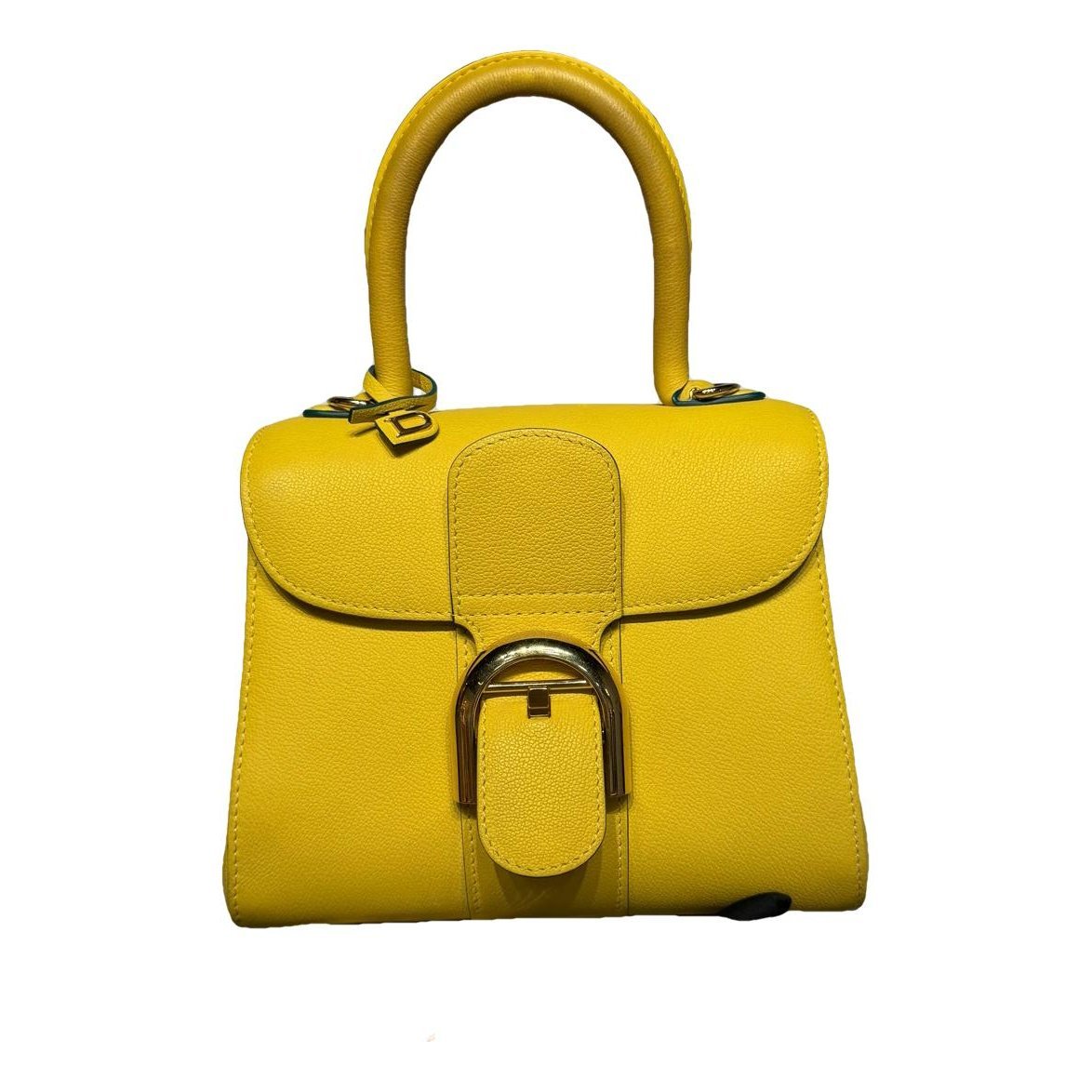 Brillant leather handbag