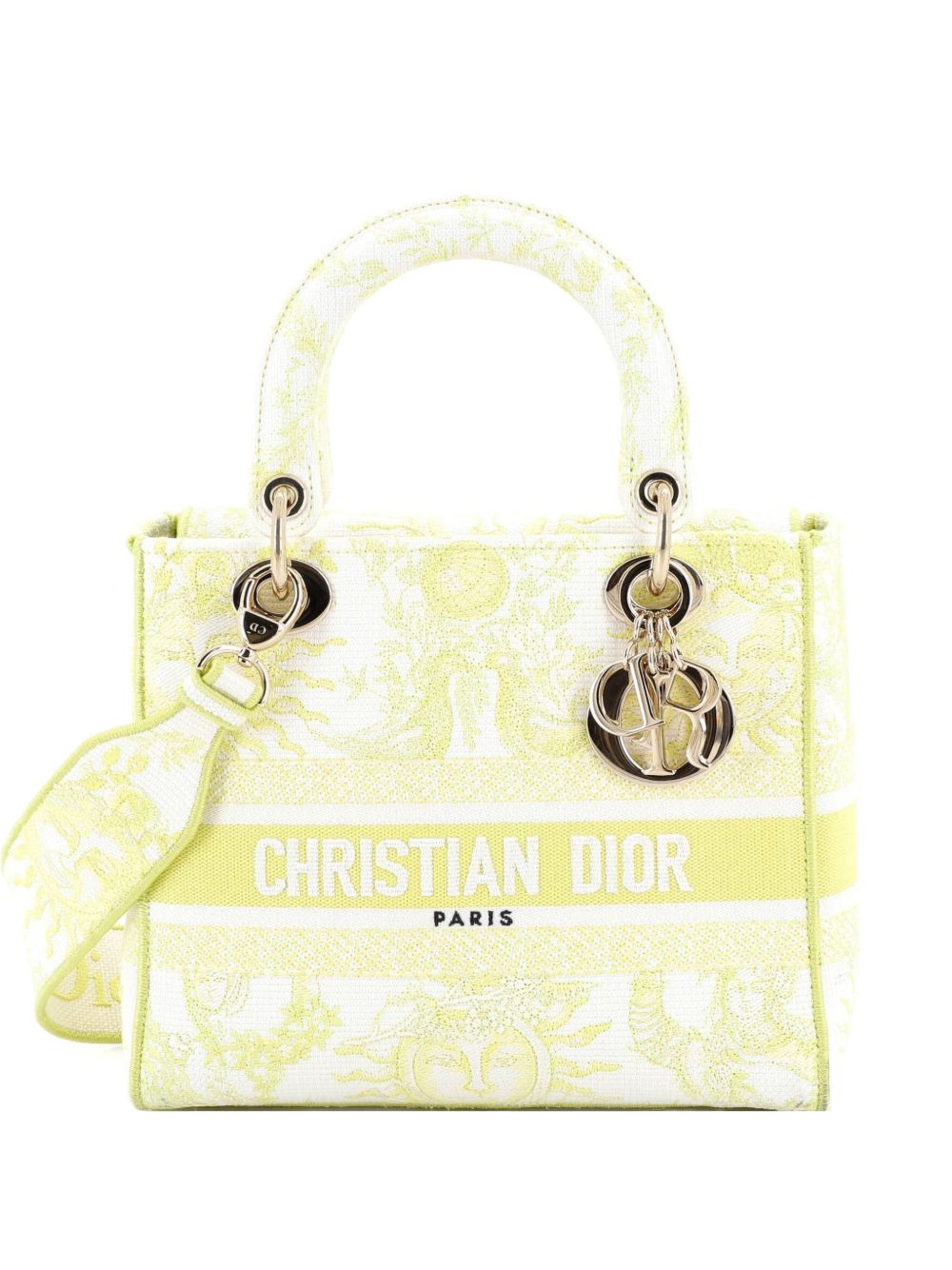 Lady D-Lite Bag Embroidered Canvas Medium satchel