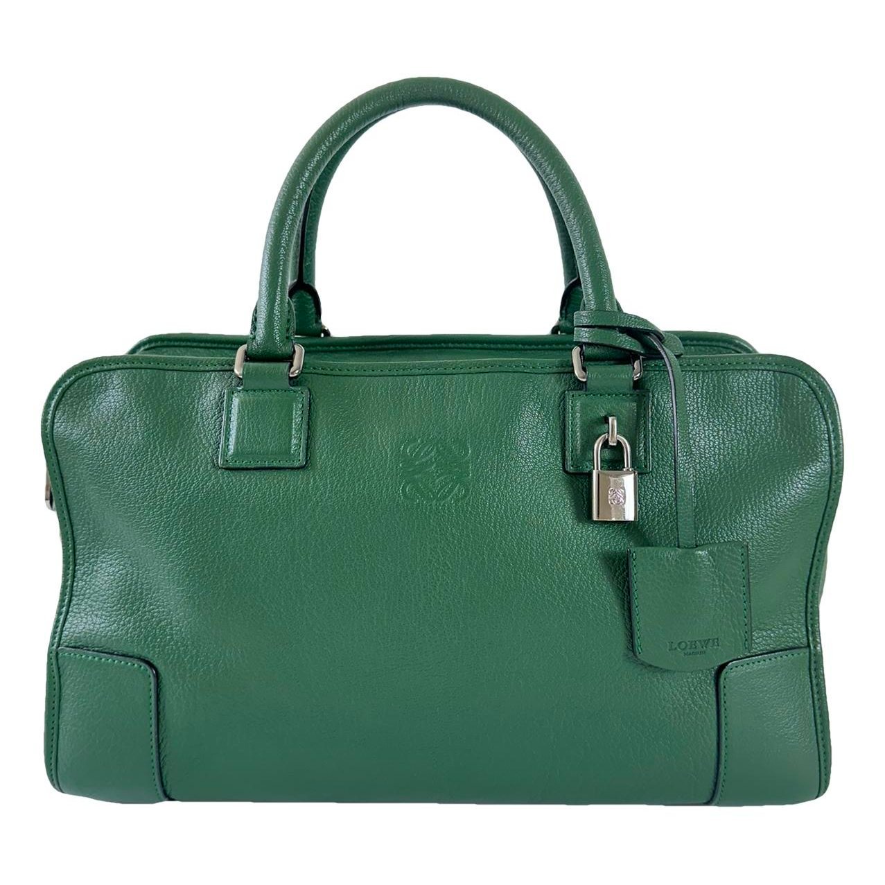 Amazona leather handbag