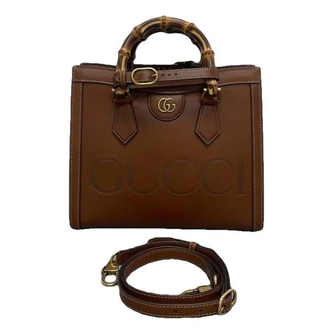 Diana leather mini bag