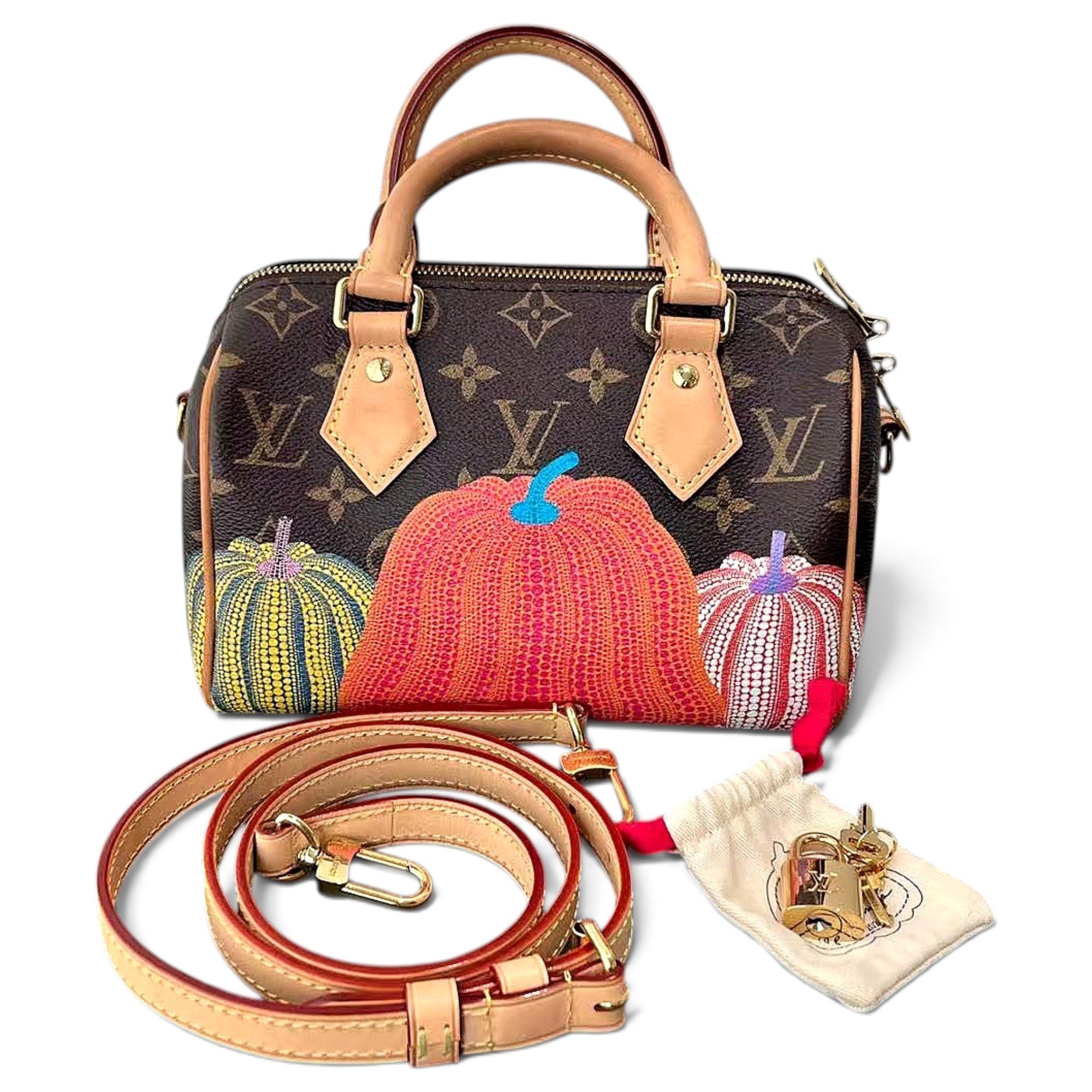 Louis Vuitton Speedy leather handbag