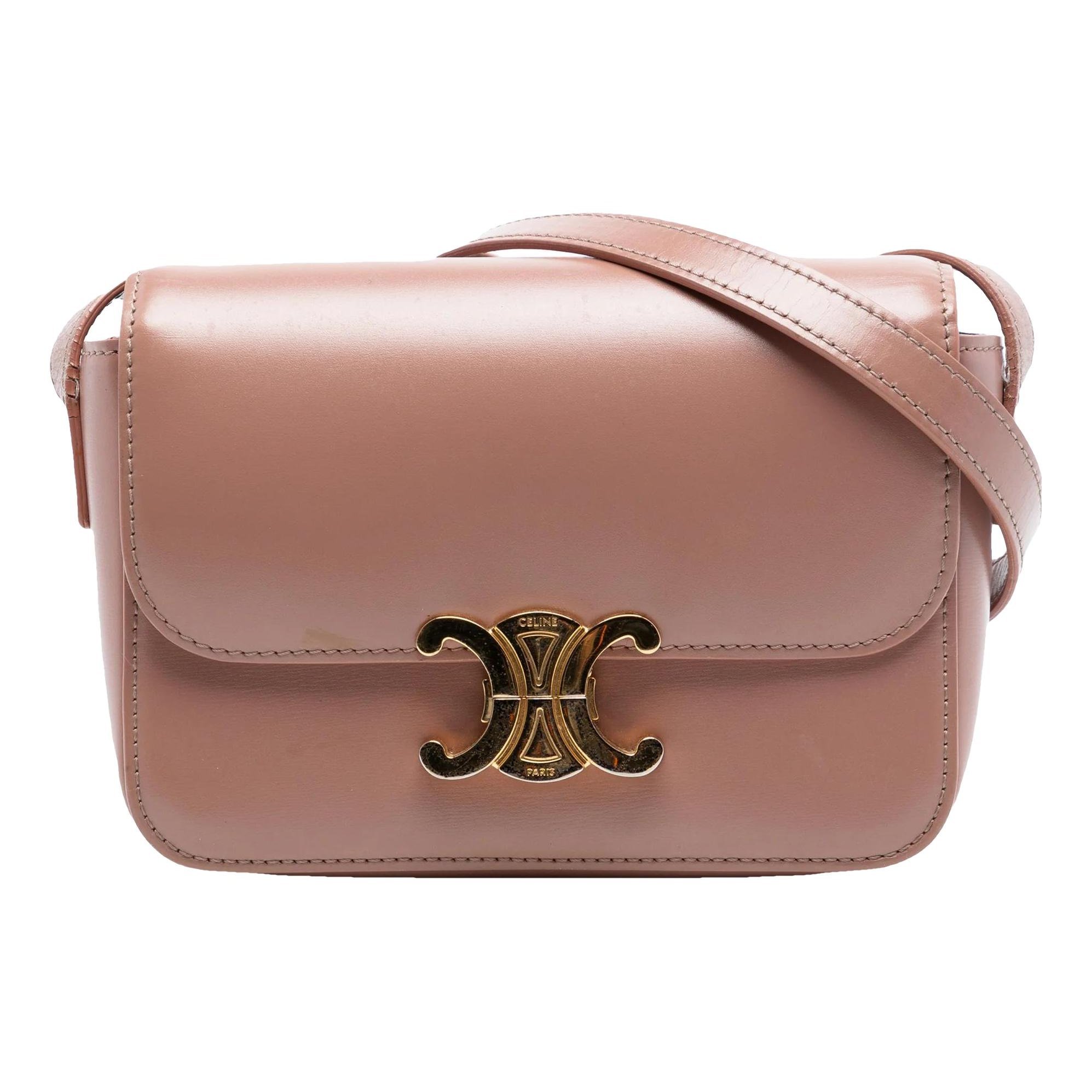 Triomphe leather bag