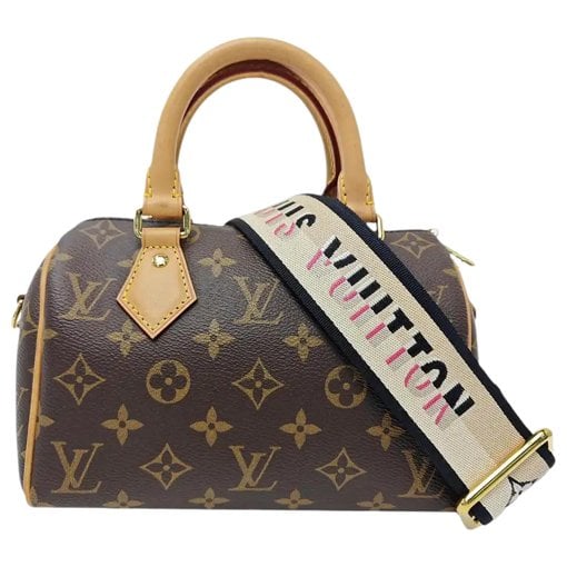 Louis Vuitton Nano Speedy / Mini HL leather handbag