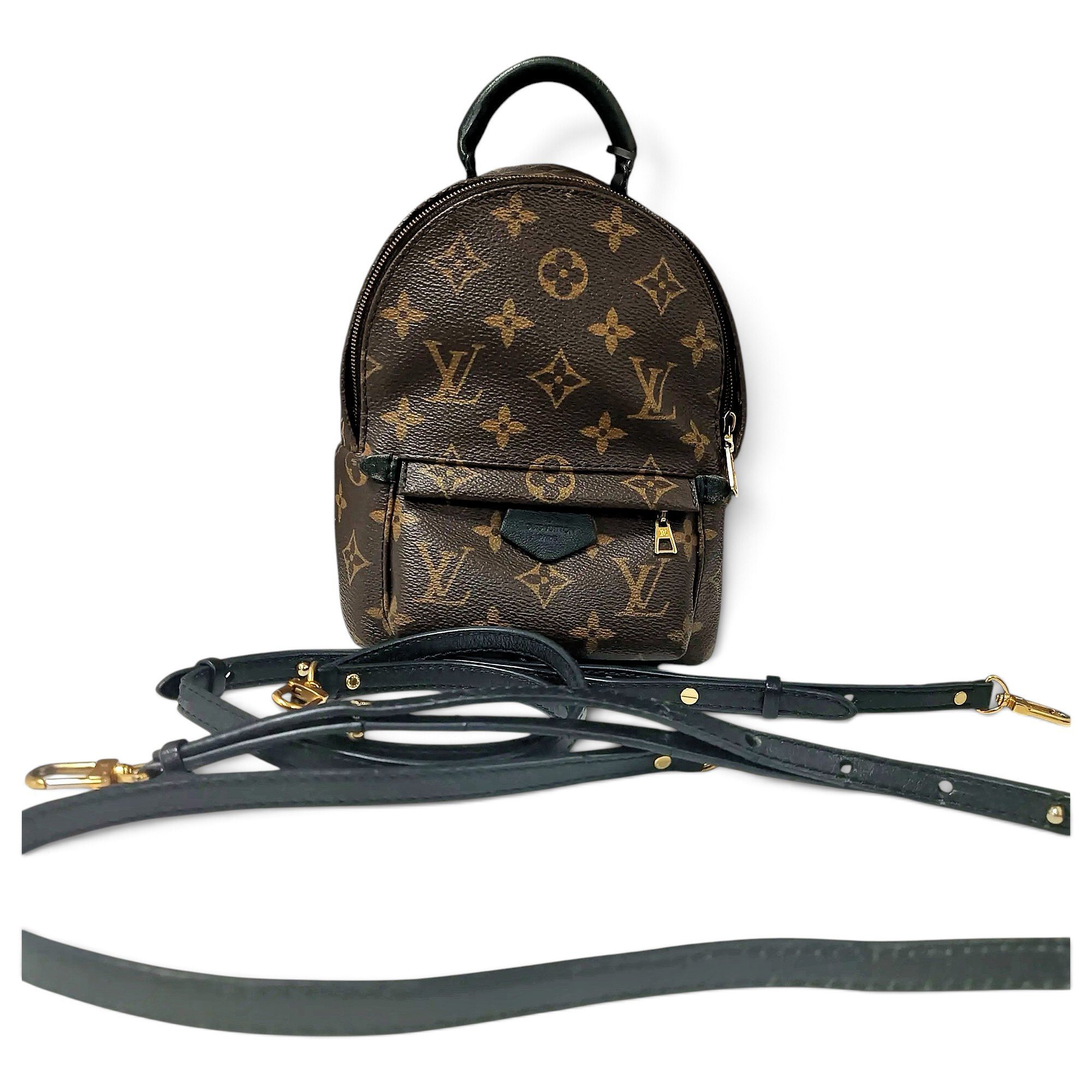 Palm Springs vinyl backpack
