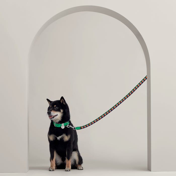 Vert Comics Medor Dog Leash