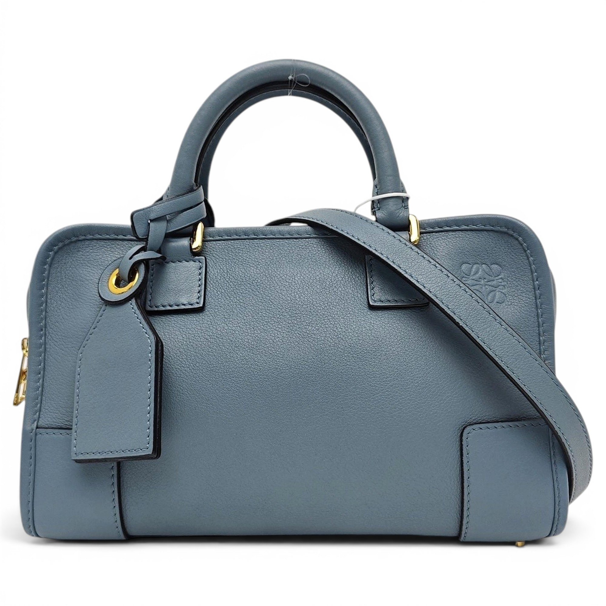 Amazona leather handbag