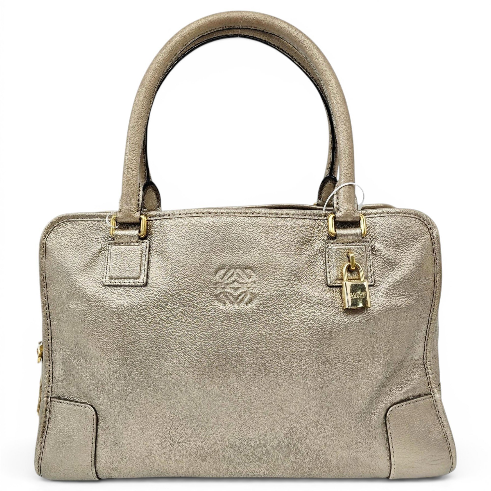 Amazona leather handbag