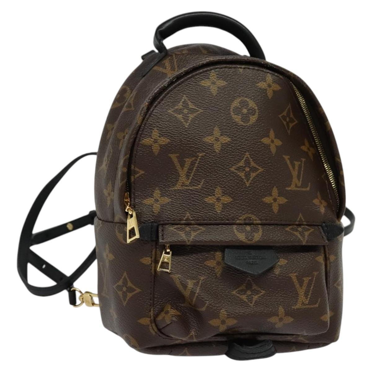Palm Springs backpack