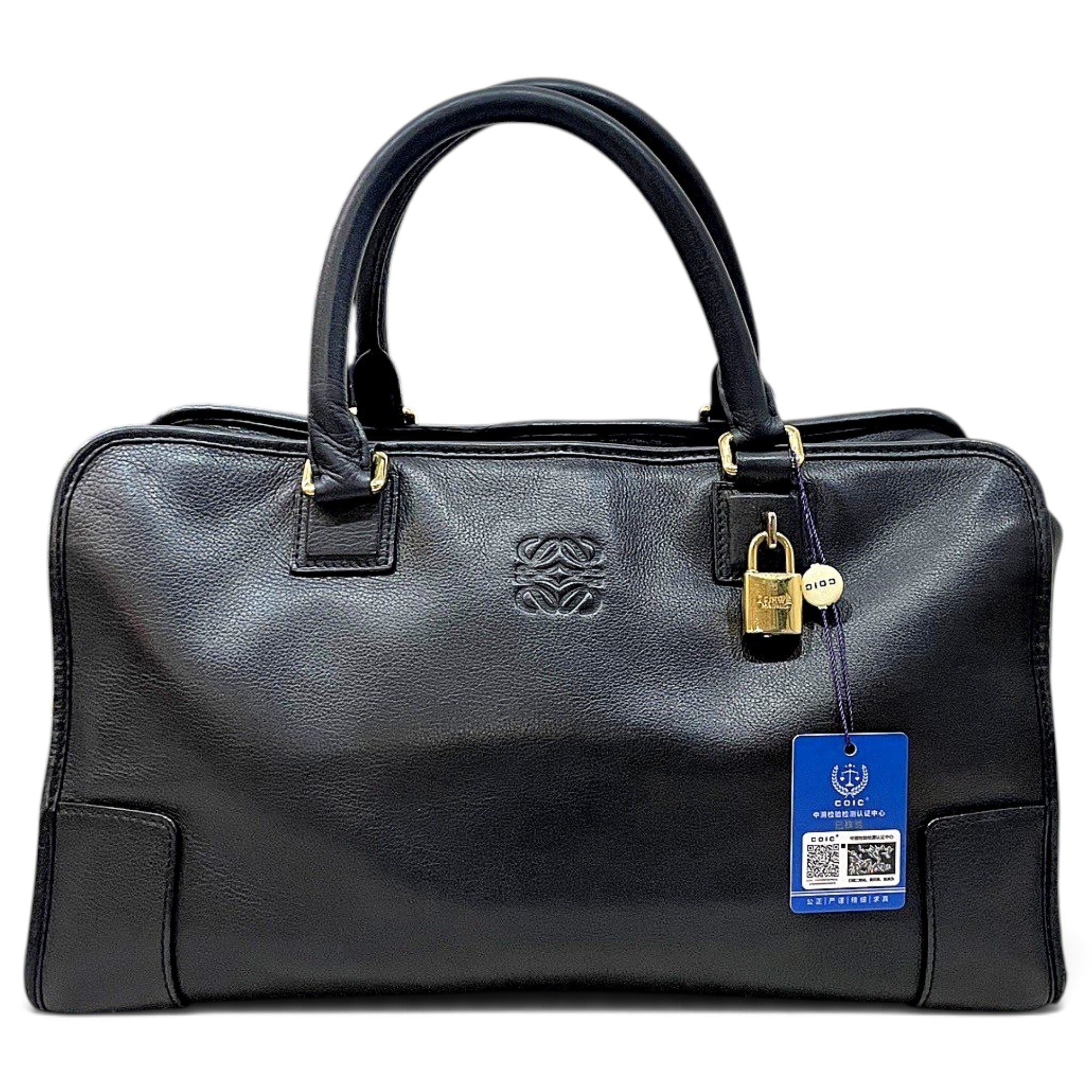 Amazona leather handbag