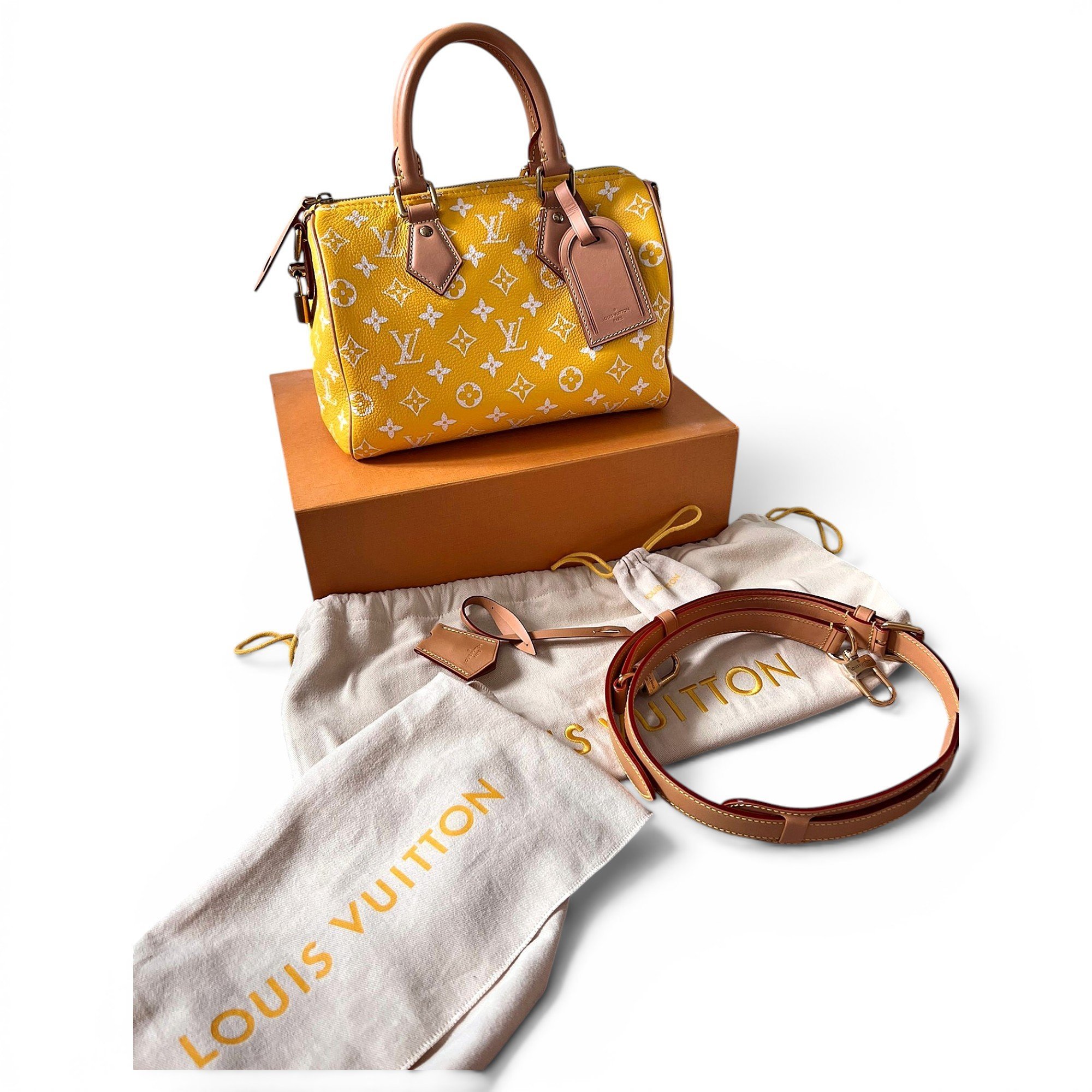 Speedy leather handbag