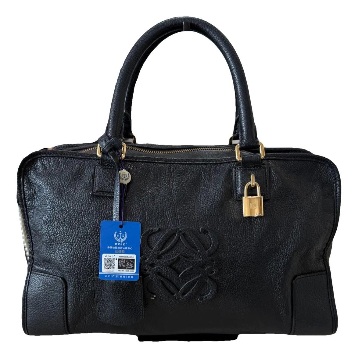 Amazona leather handbag