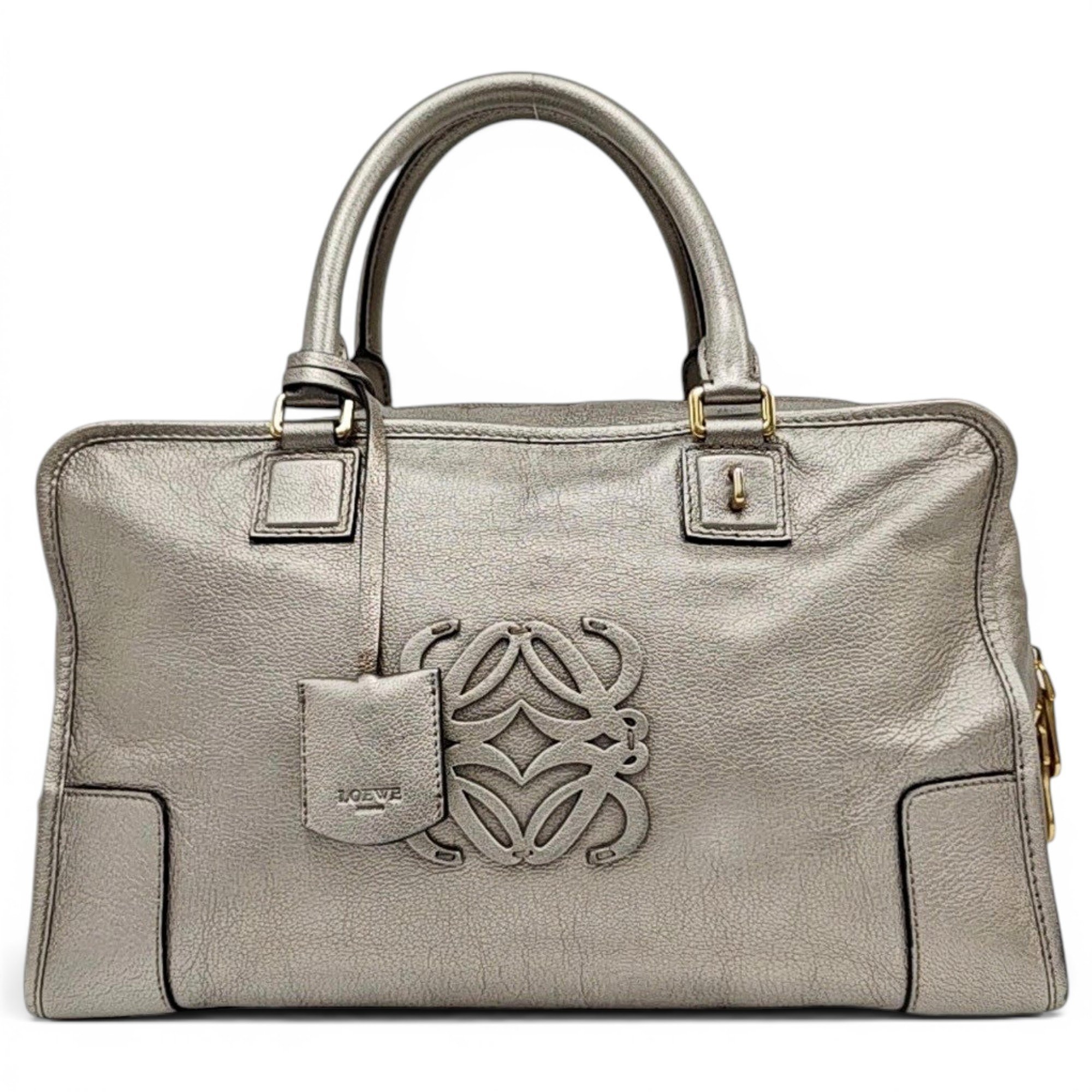 Amazona leather handbag