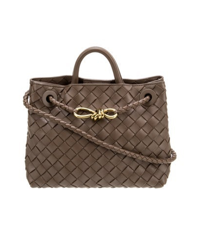 Bottega Veneta Veneta Intrecciato Andiamo Small