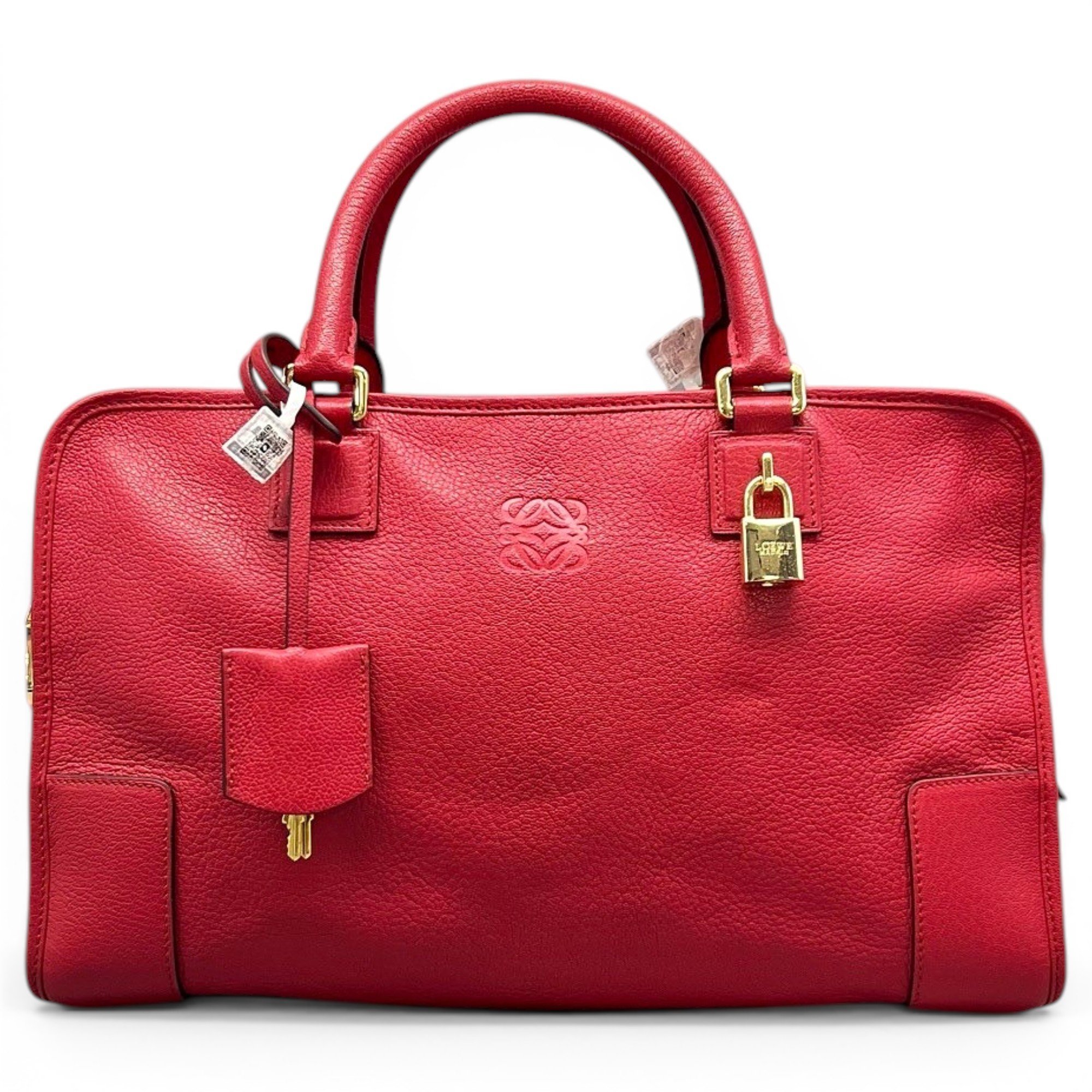 Amazona leather handbag