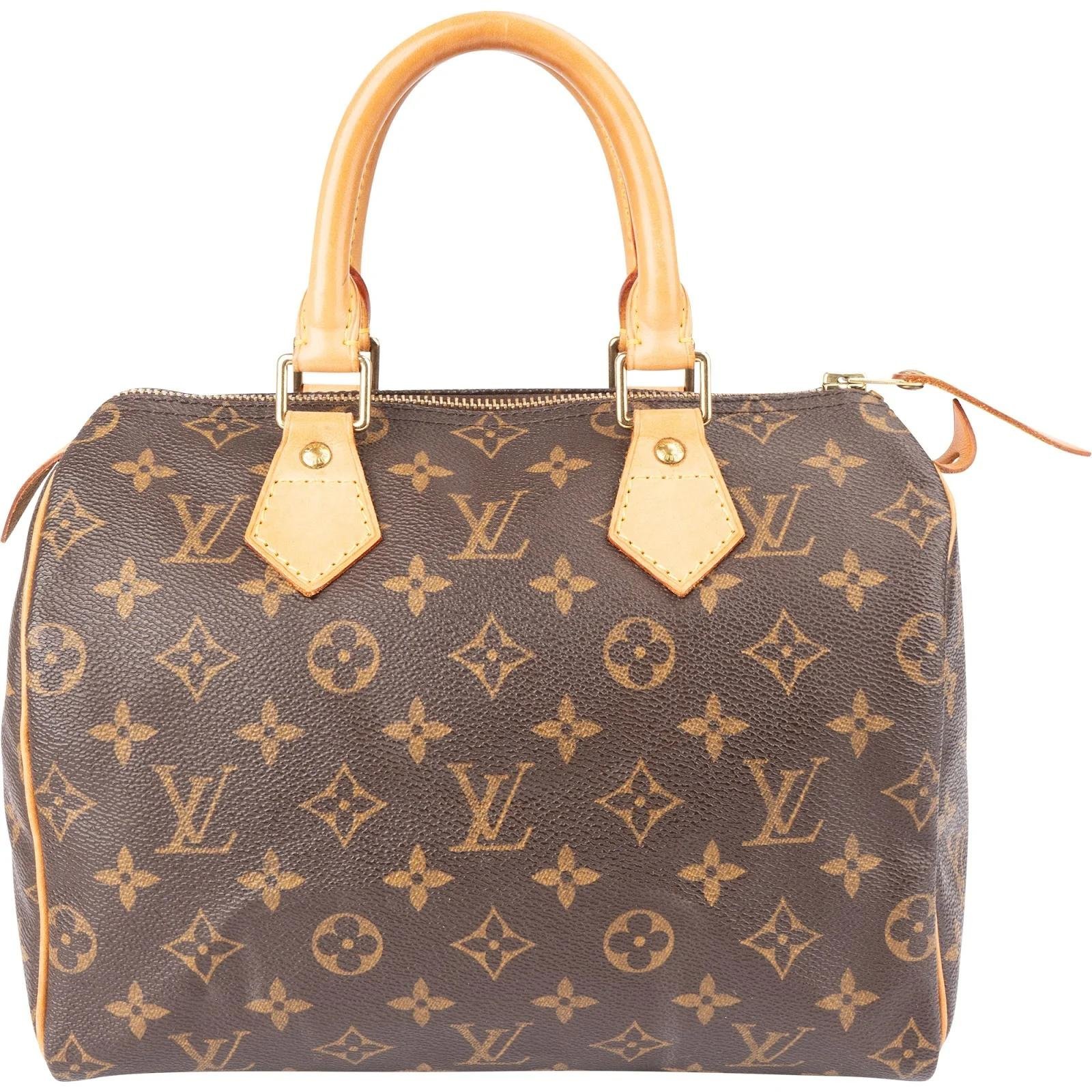 Speedy leather handbag