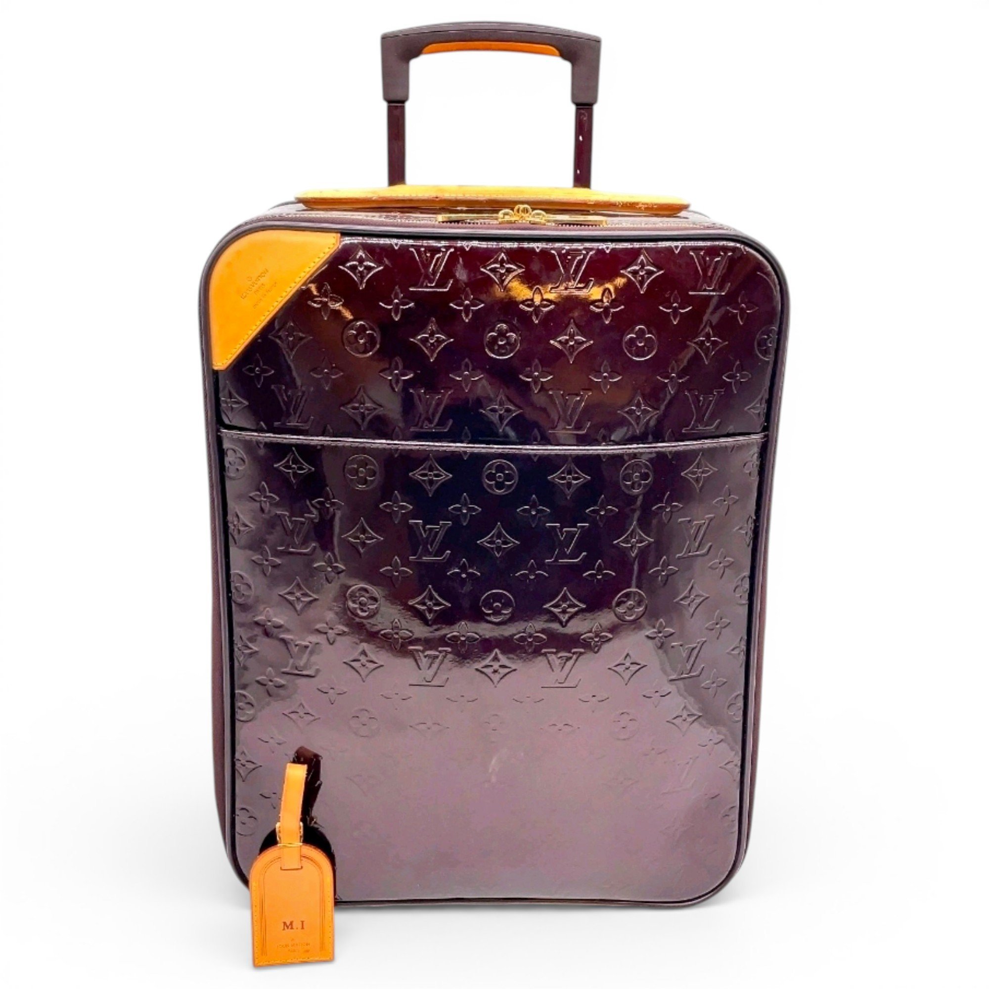 Pegase cloth travel bag