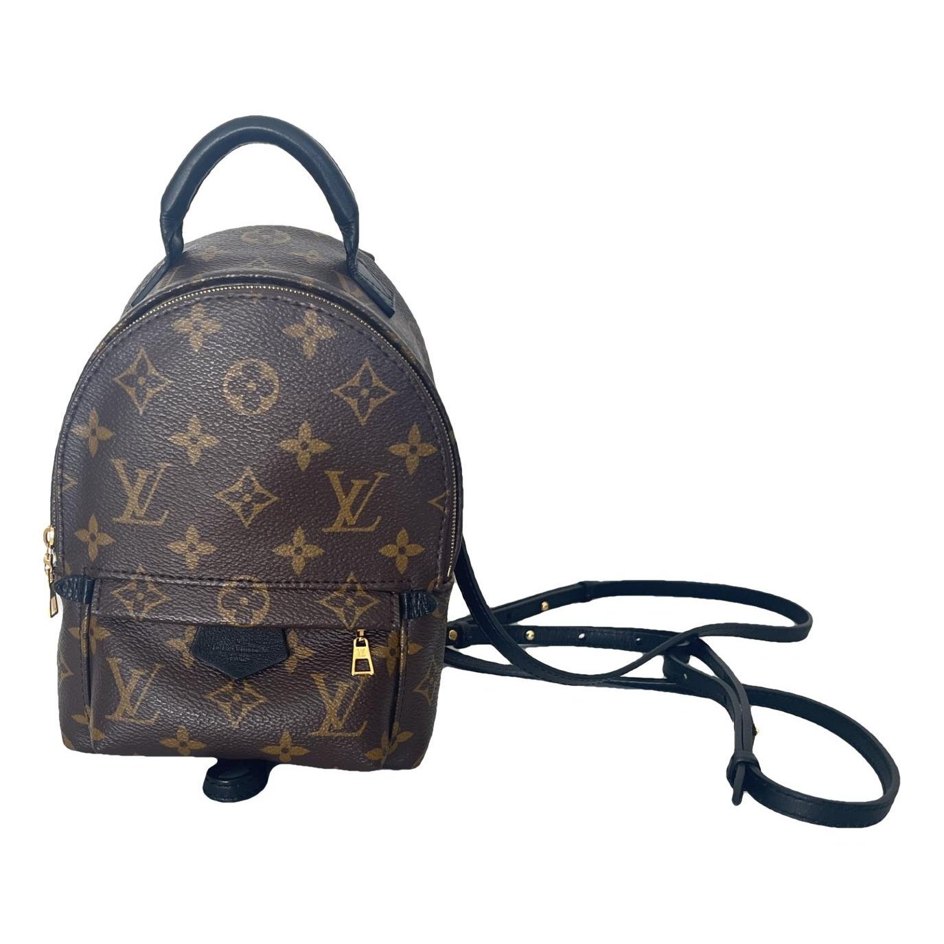 Palm Springs backpack