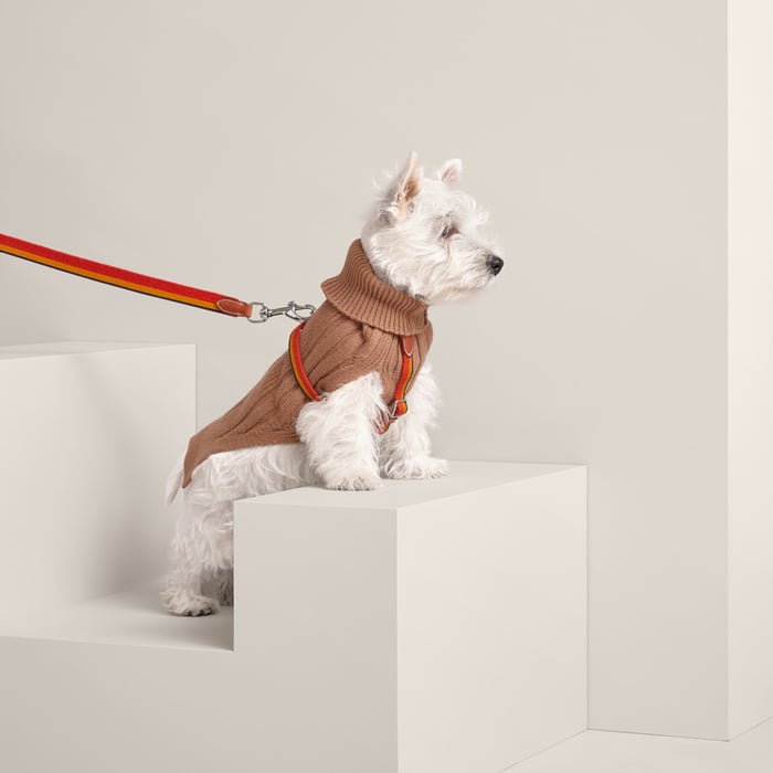 Fauve Dog Pullover