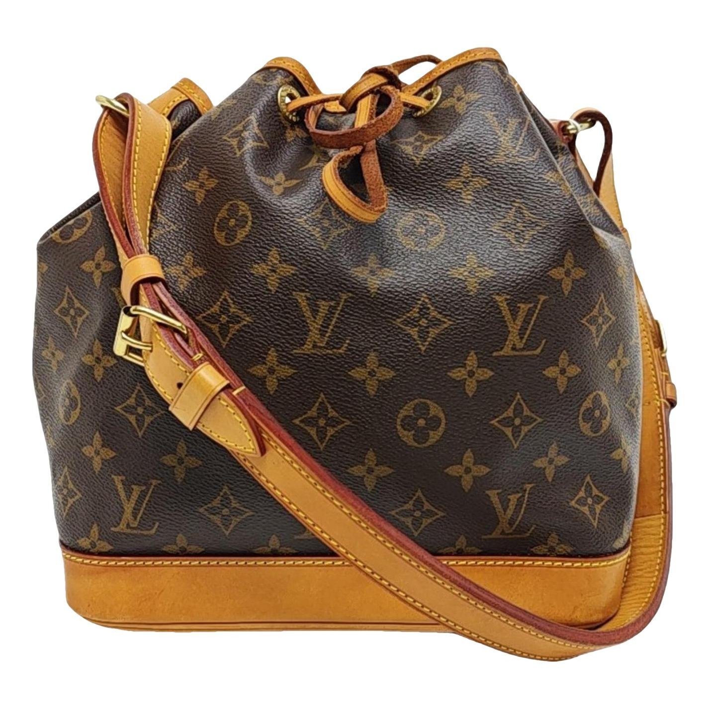 Nano Noé leather handbag