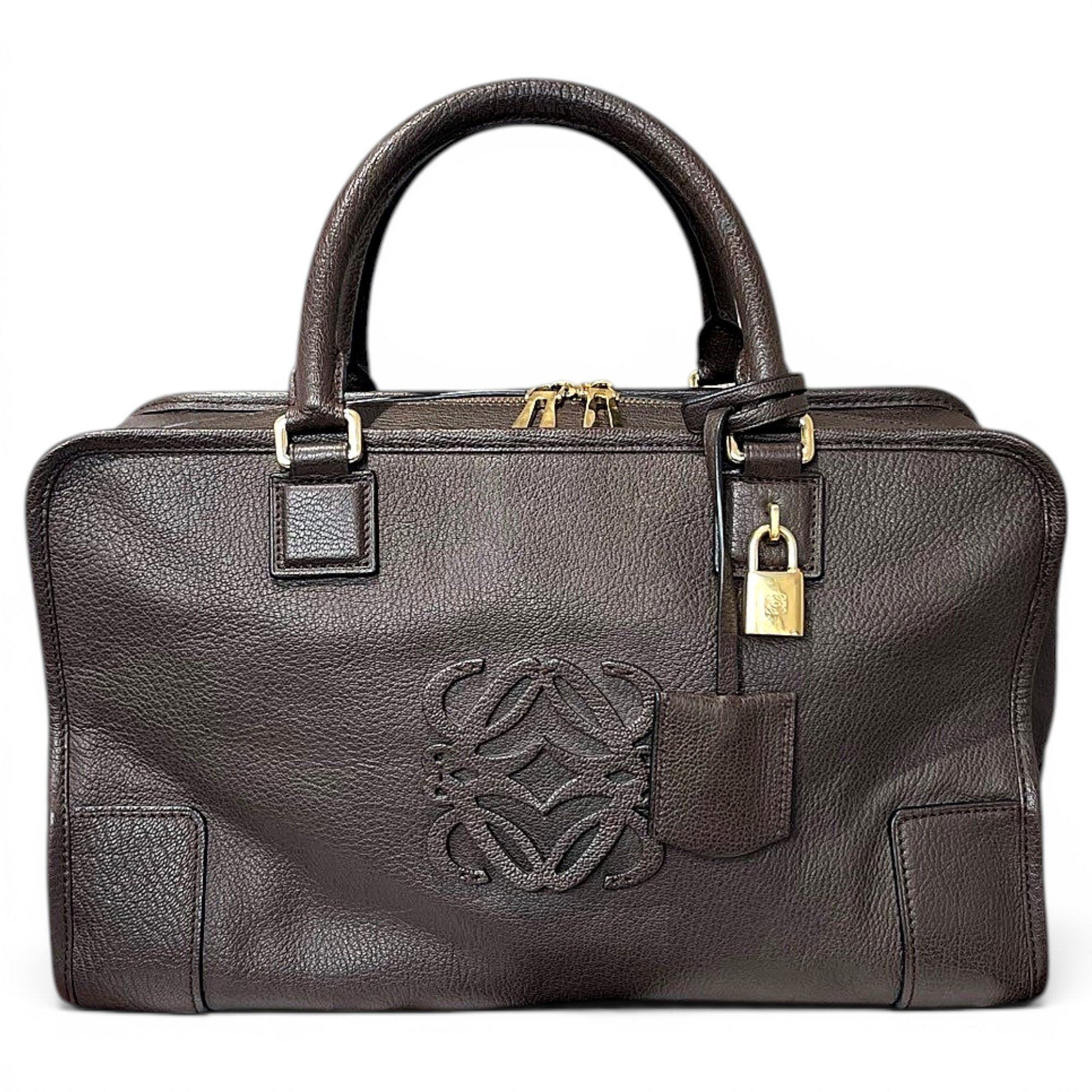 Amazona leather handbag